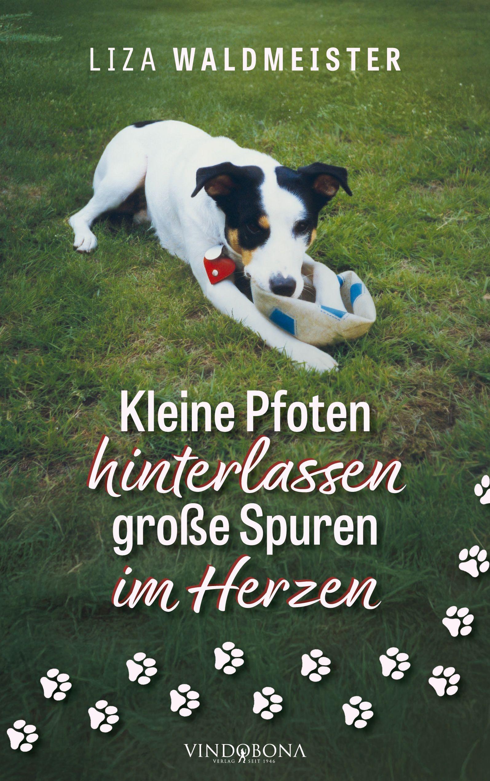 Vorderes Coverbild Kleine Pfoten hinterlassen große Spuren im Herzen