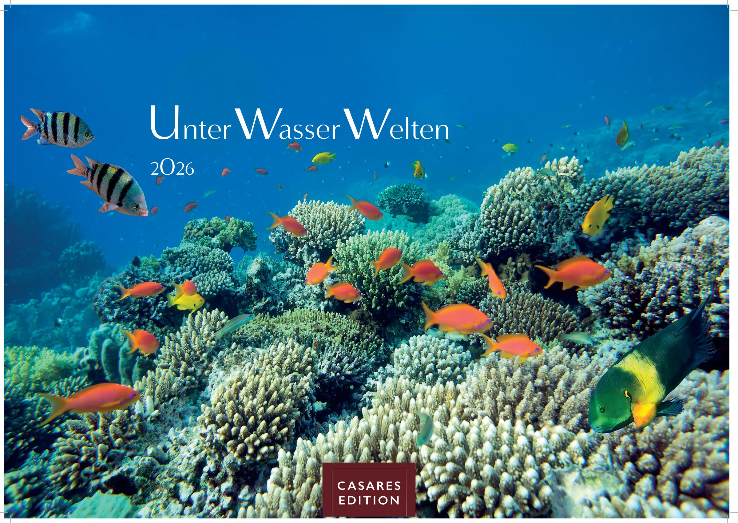 Vorderes Coverbild Unterwasserwelten Kalender 2026 - Wandkalender | Fotokalender Naturkalender 24x35cm - Atemberaubende Meereslandschaften & Korallenriffe.
