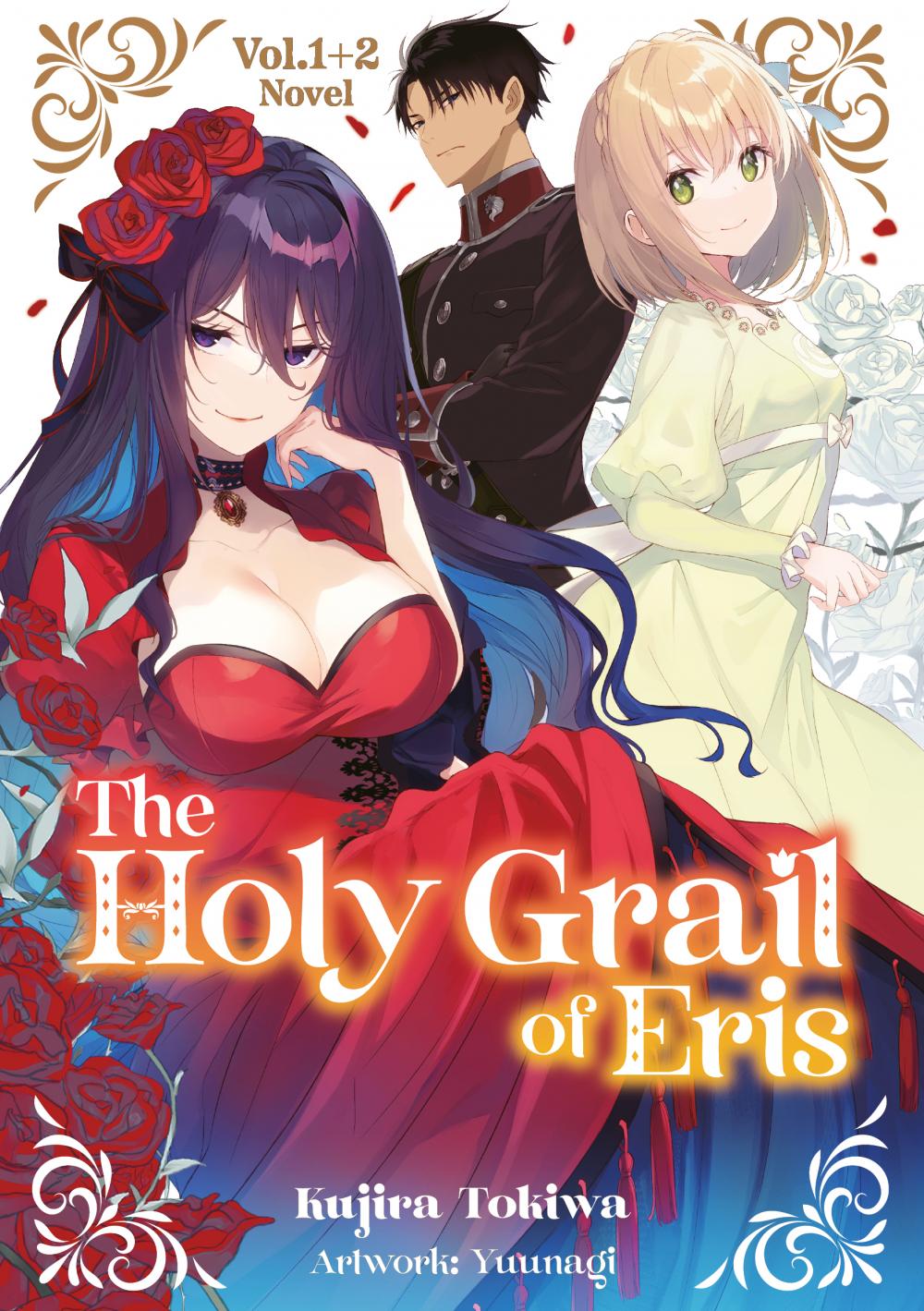 Vorderes Coverbild The Holy Grail of Eris (Light Novel), Doppelband 01