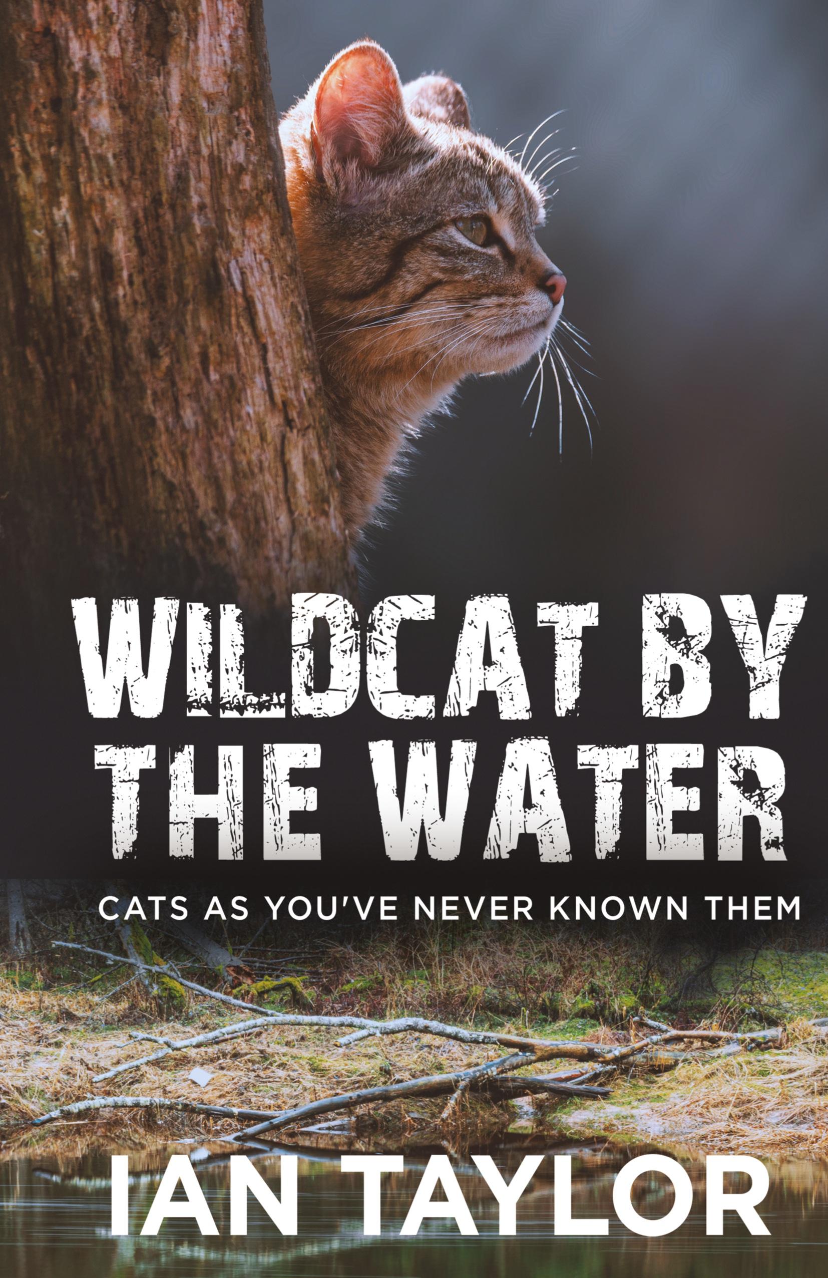 Vorderes Coverbild Wildcat By The Water