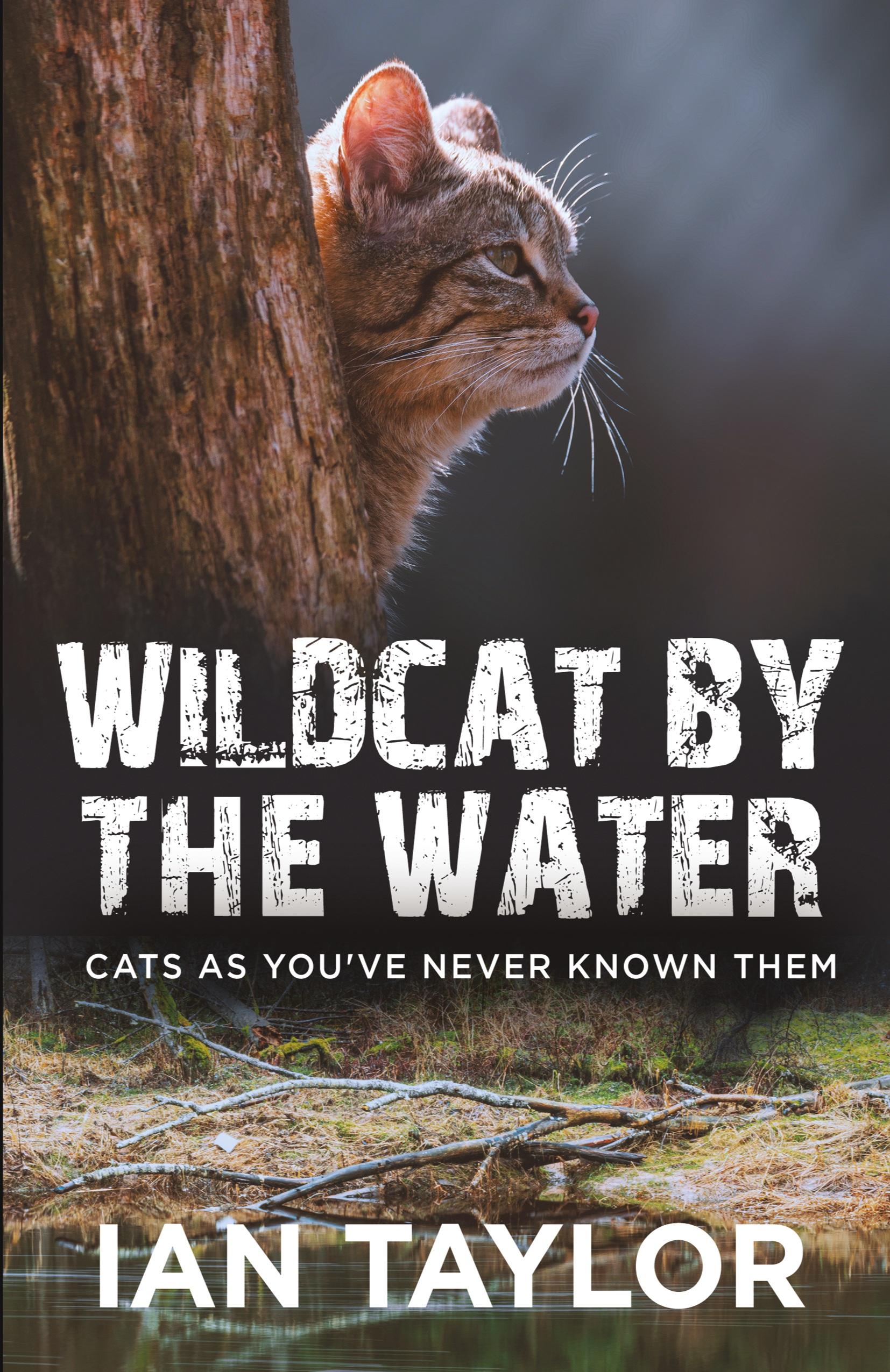 Vorderes Coverbild Wildcat By The Water