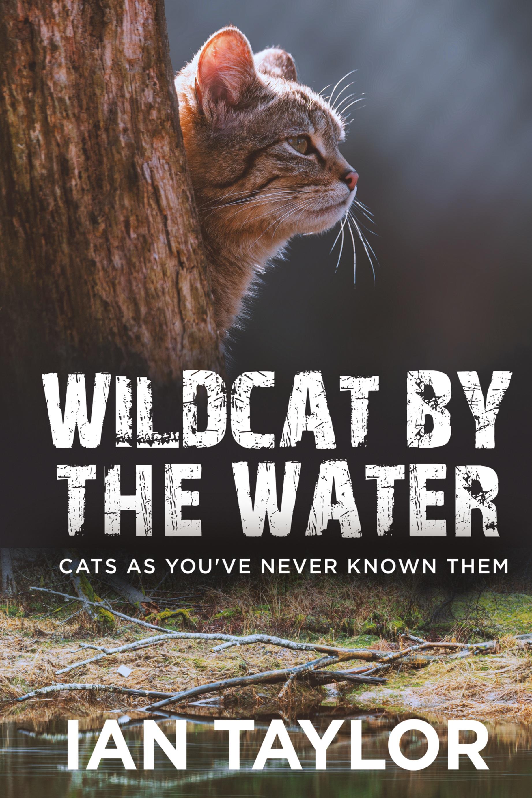 Vorderes Coverbild Wildcat By The Water