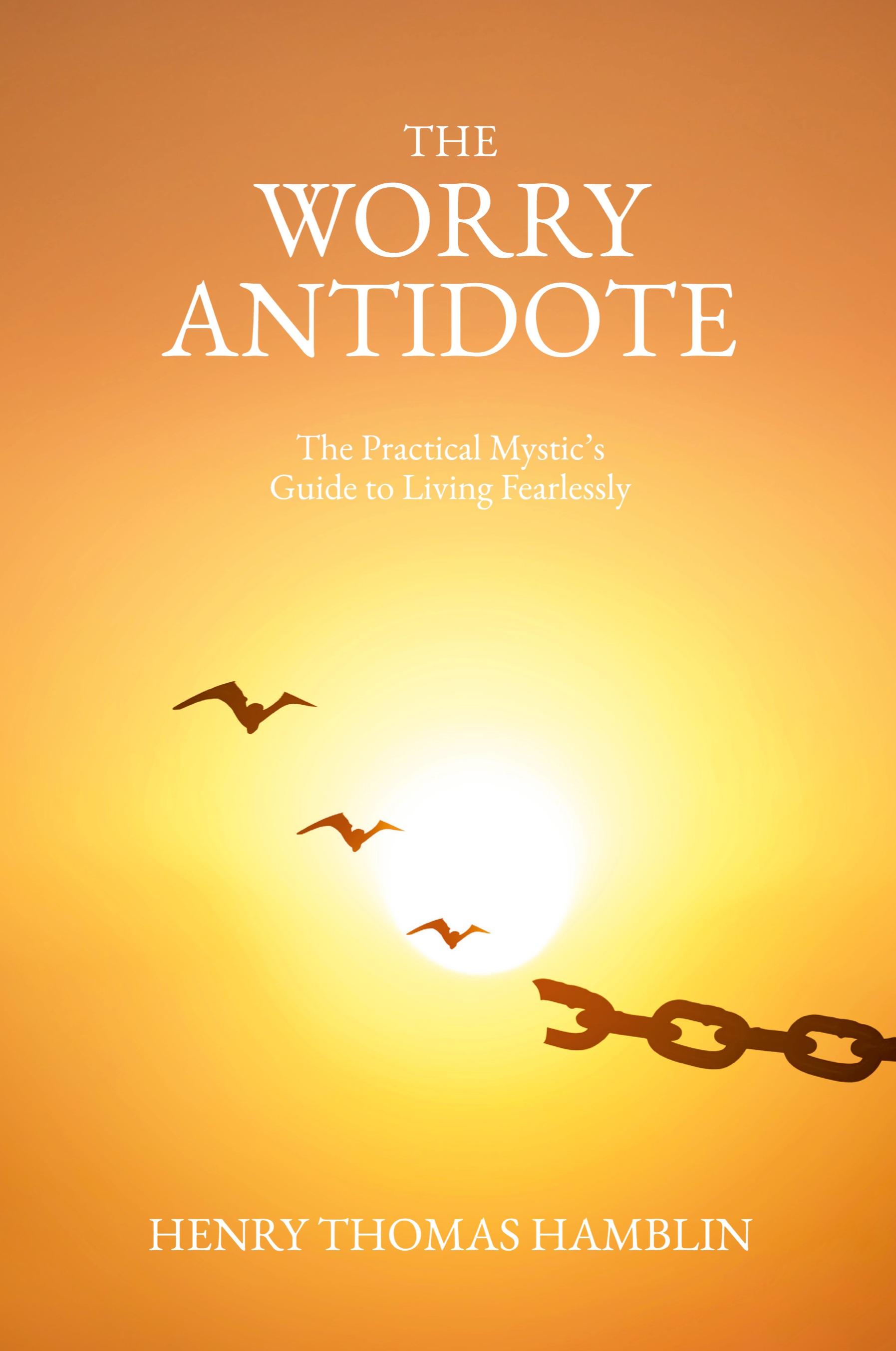 Vorderes Coverbild The Worry Antidote