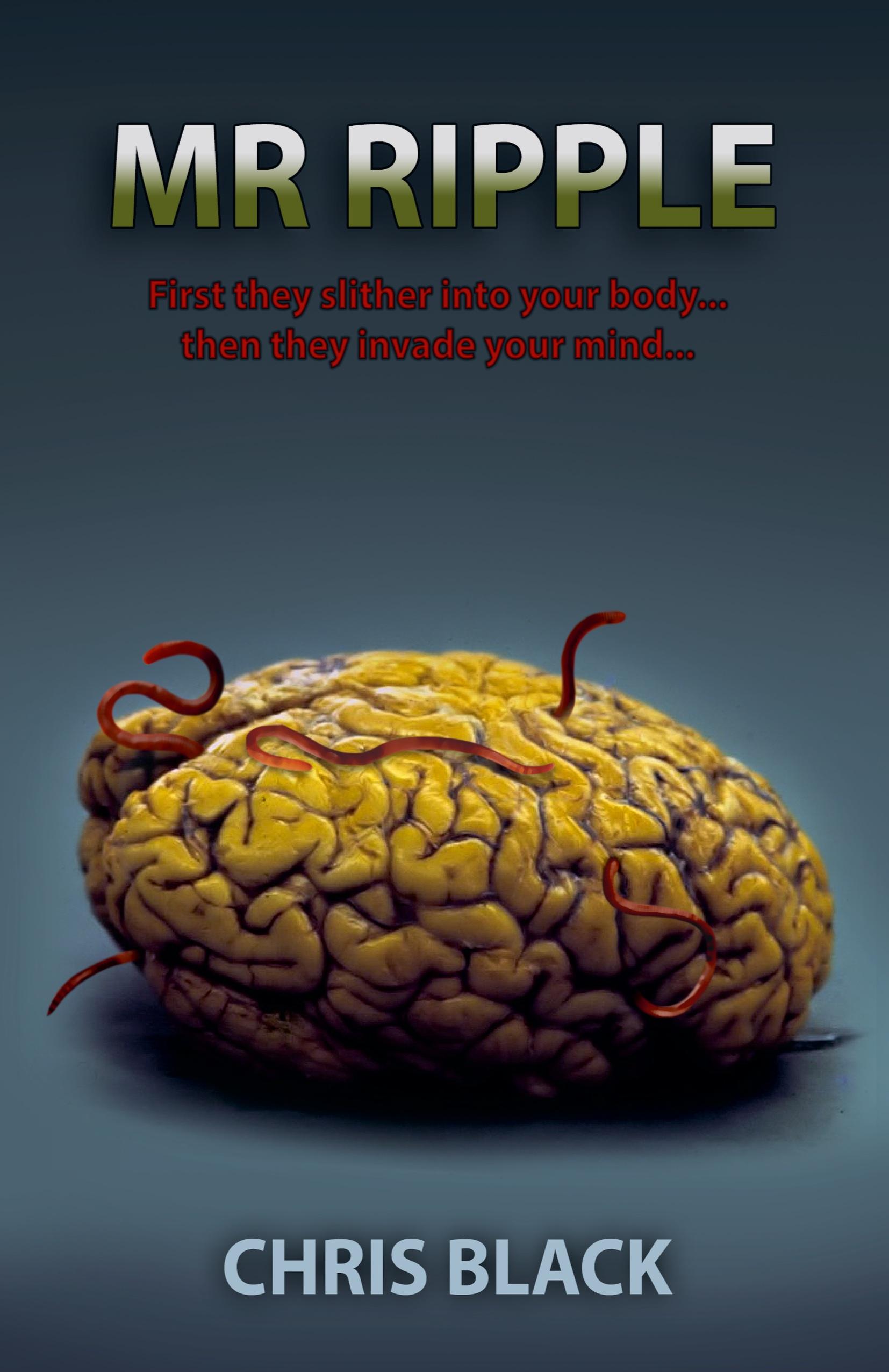 Vorderes Coverbild Mr. RIPPLE