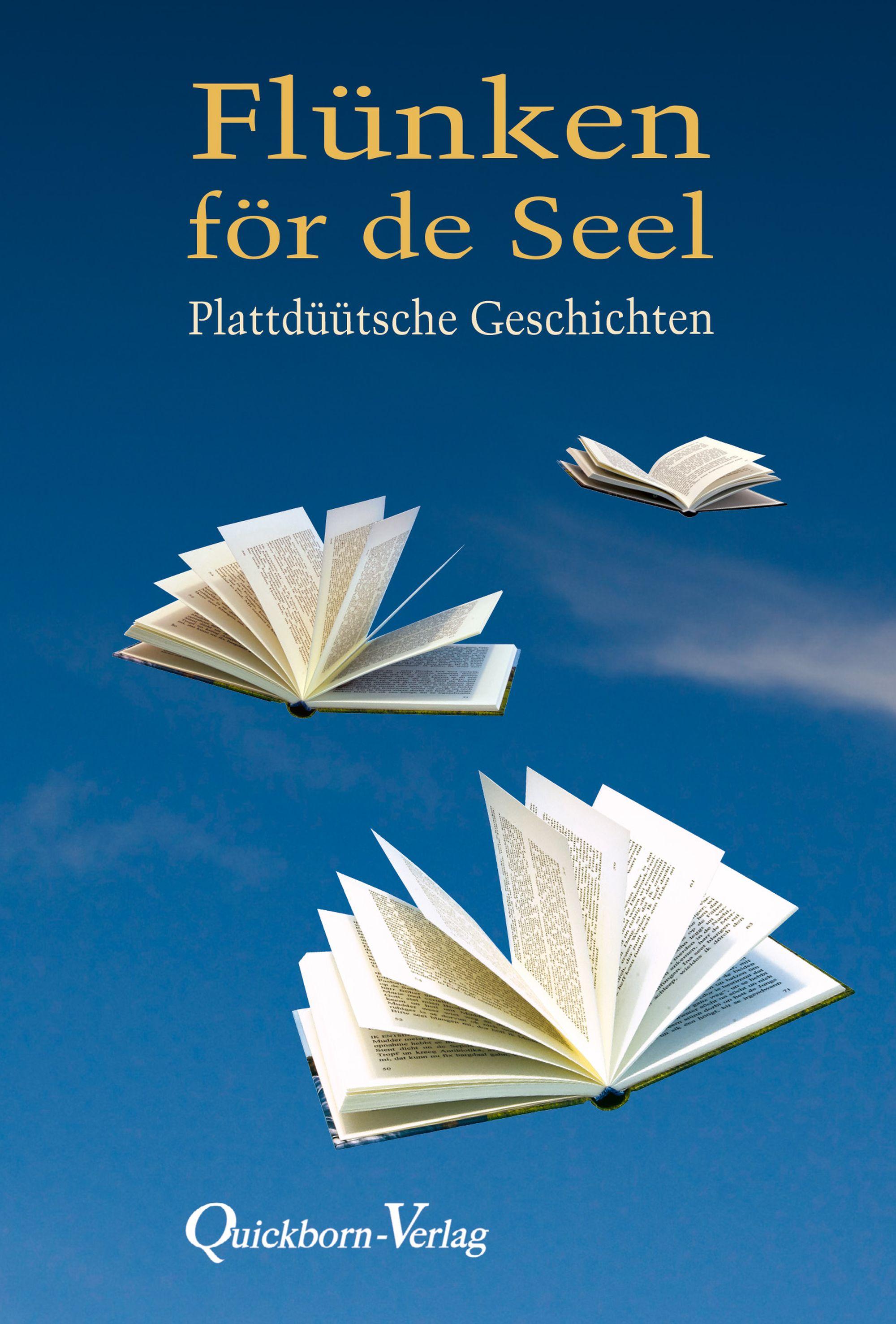 Vorderes Coverbild Flünken för de Seel