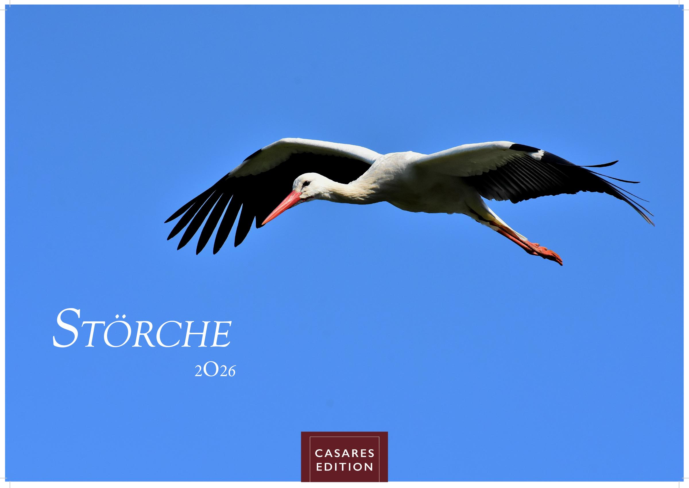 Vorderes Coverbild Störche Kalender 2026 - Wandkalender | Fotokalender Tierkalender 24x35cm - Inspirierende Storch-Motive für Natur- und Tierkalenderliebhaber.