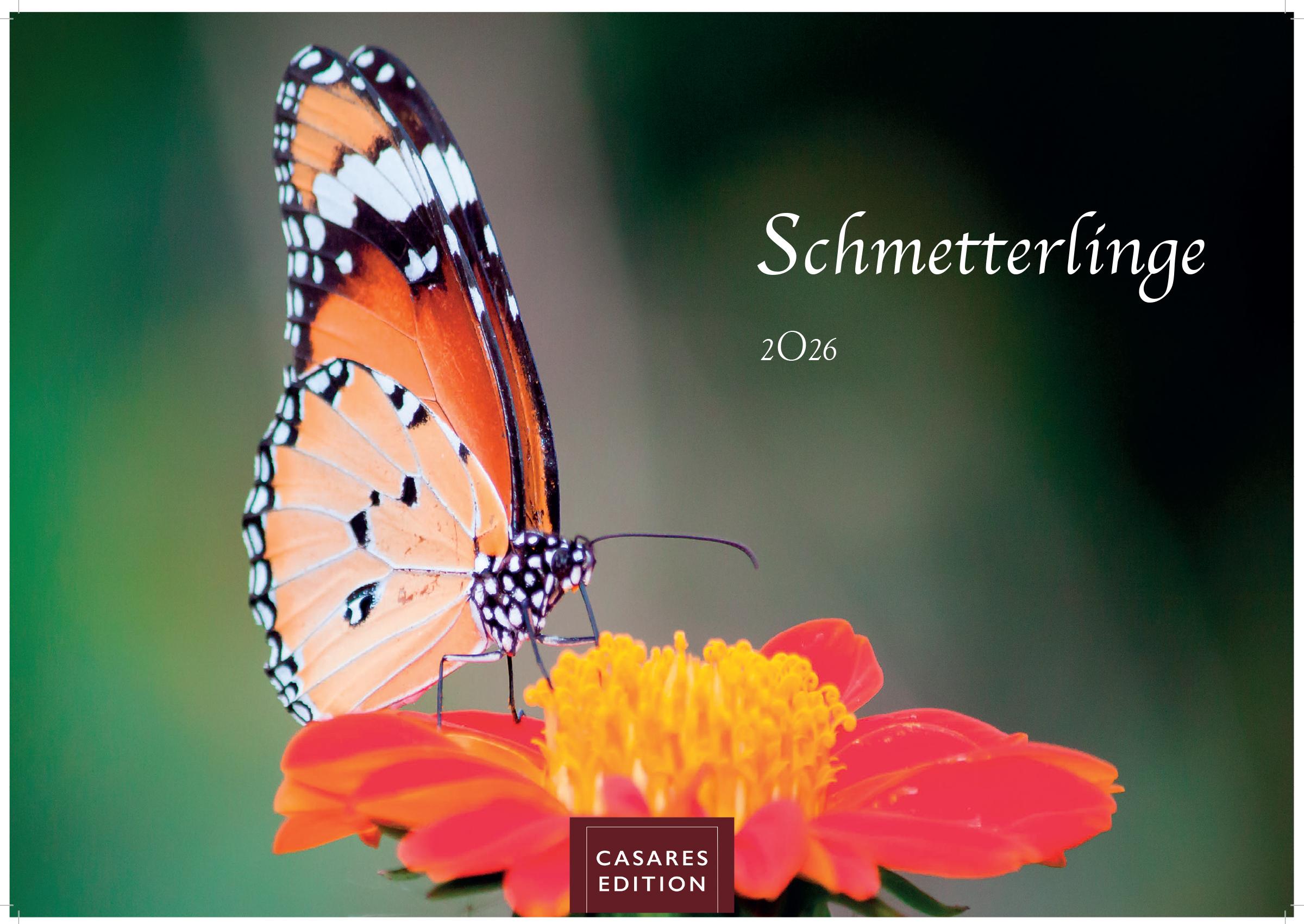 Vorderes Coverbild Schmetterlinge Kalender 2026 - Wandkalender | Fotokalender Tierkalender 35x50cm Grosses Format - Mit wunderschönen, detailreichen Bildern von Schmetterlingen.