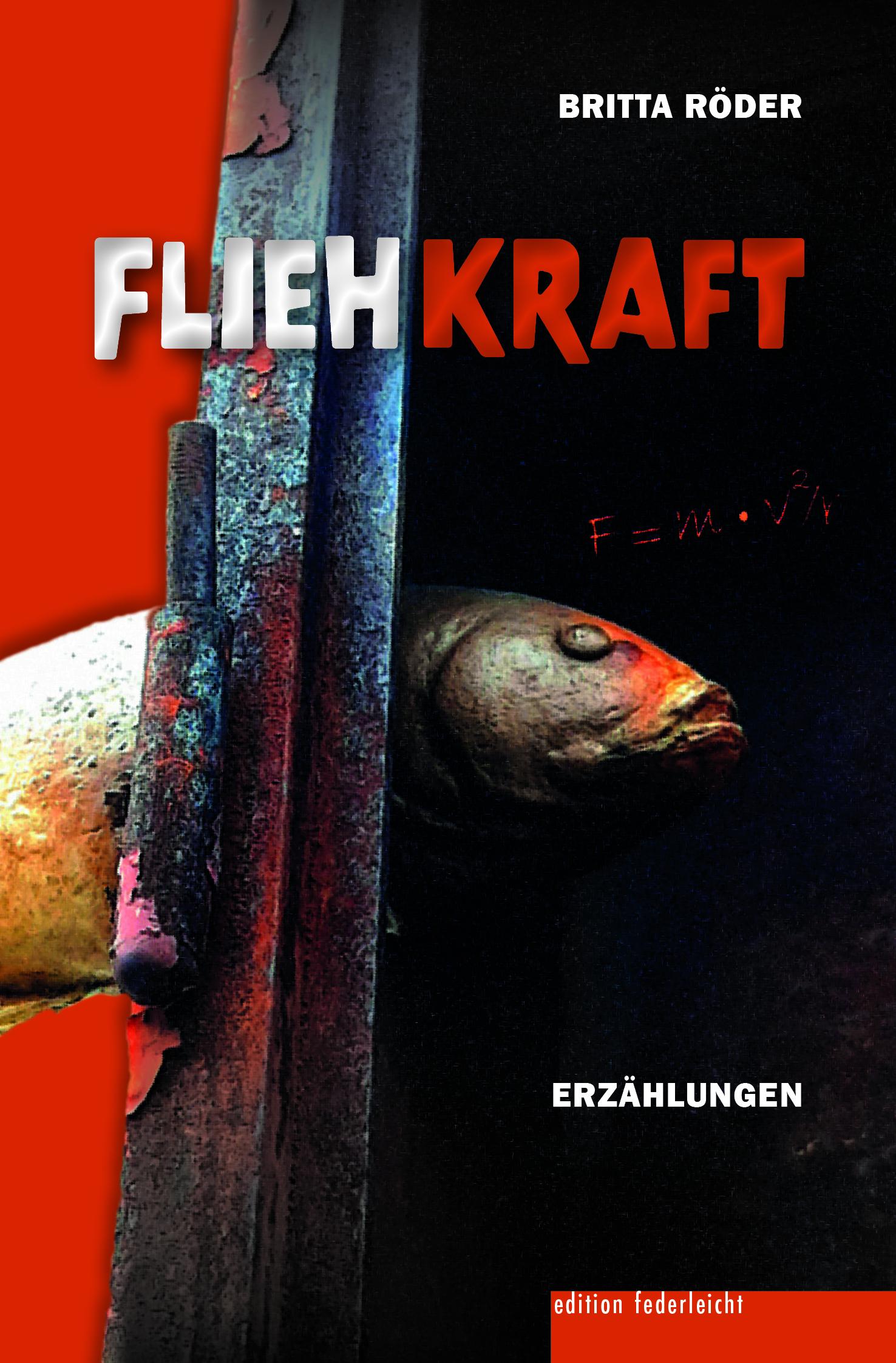 Vorderes Coverbild Fliehkraft