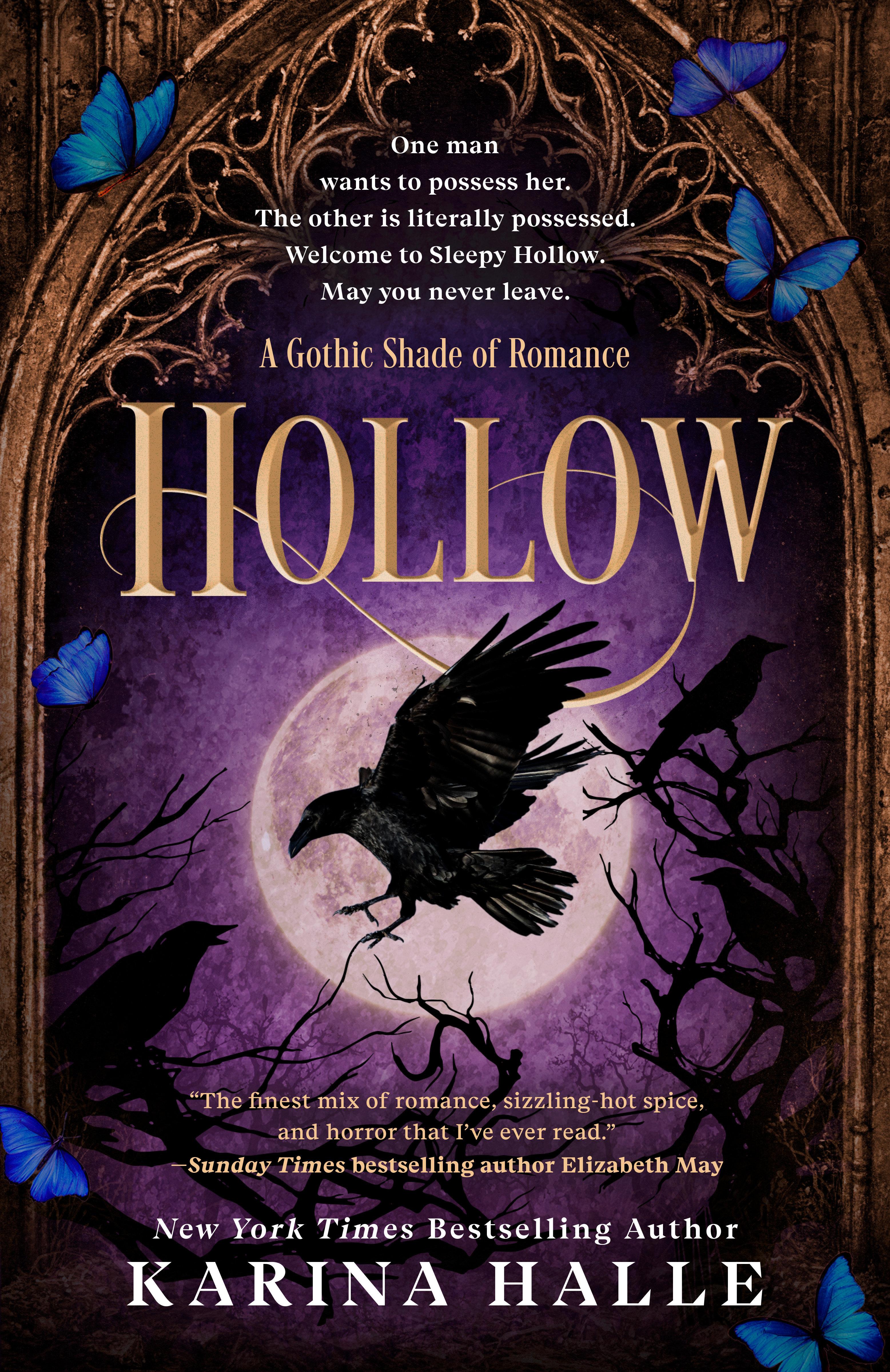 Vorderes Coverbild Hollow