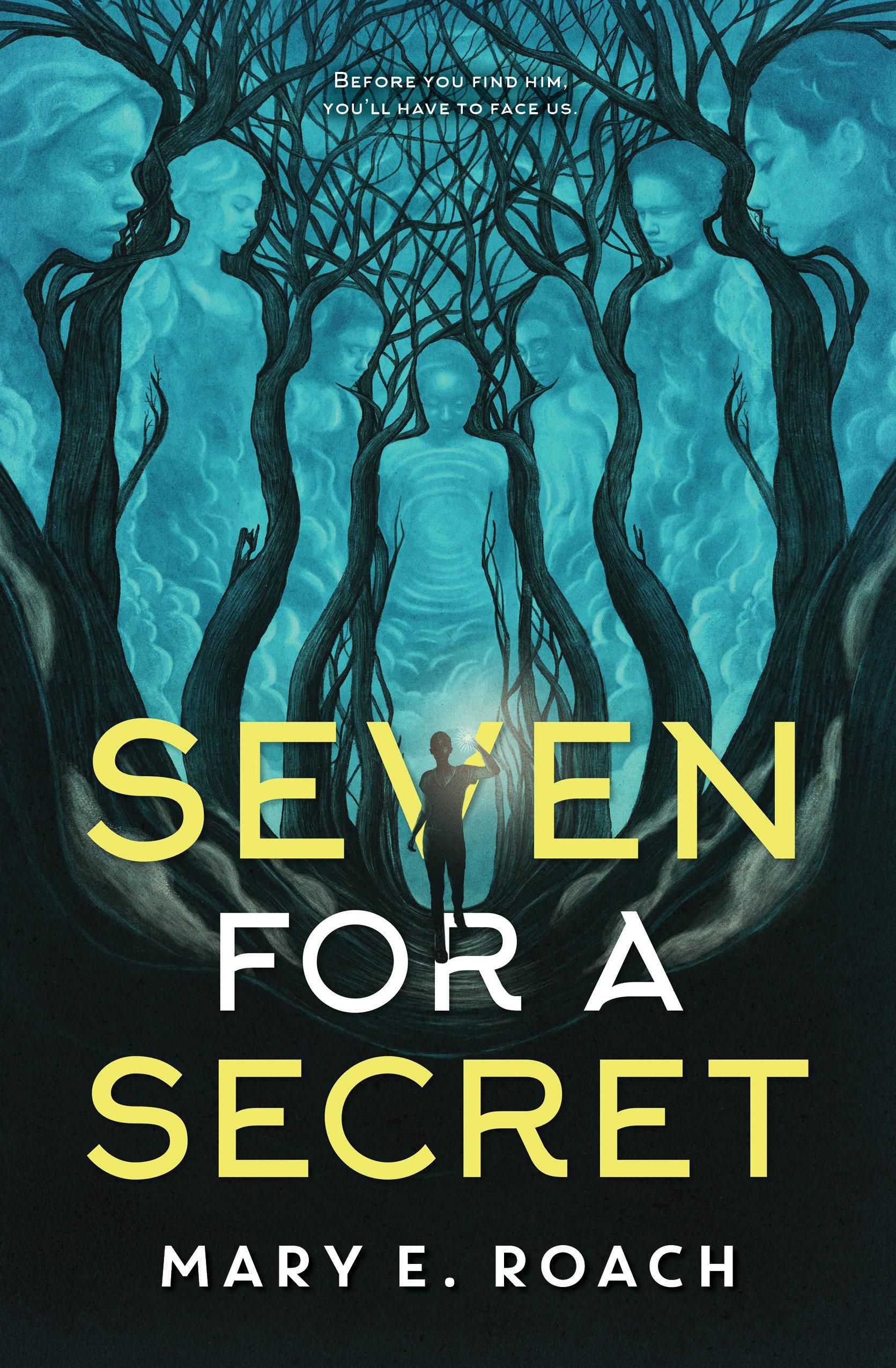 Vorderes Coverbild Seven for a Secret