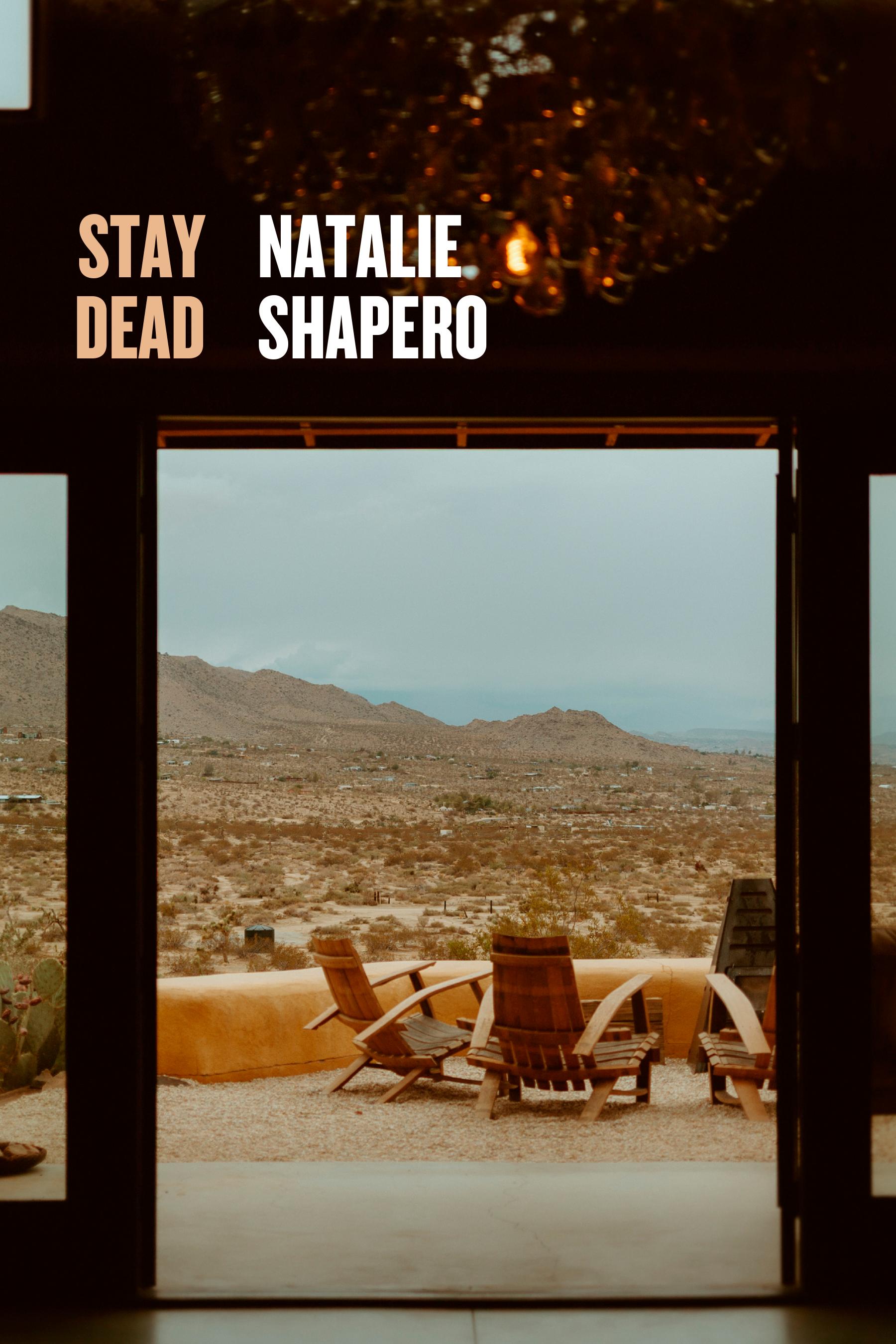 Vorderes Coverbild Stay Dead