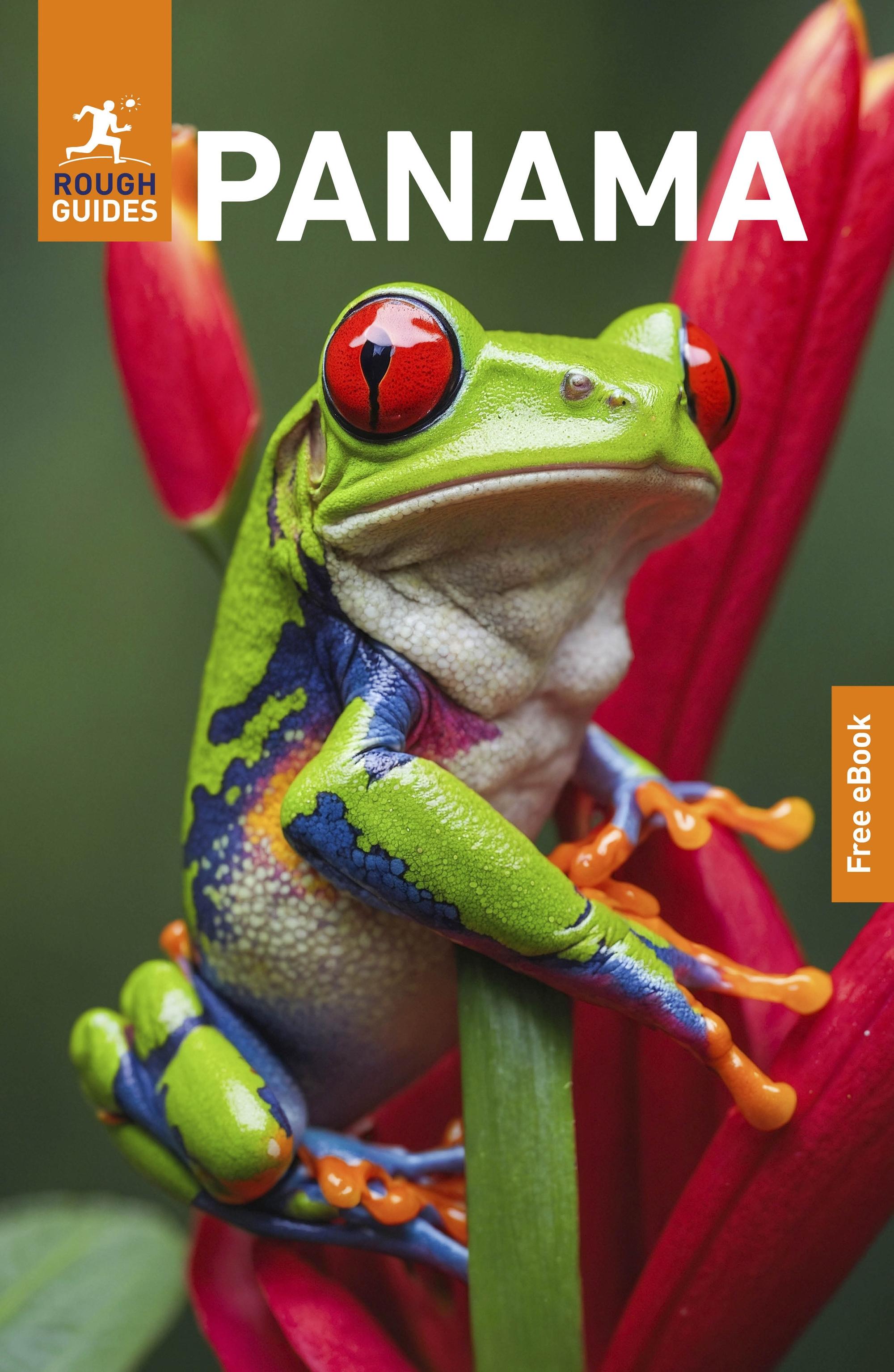 Vorderes Coverbild Rough Guides Panama: Travel Guide with eBook