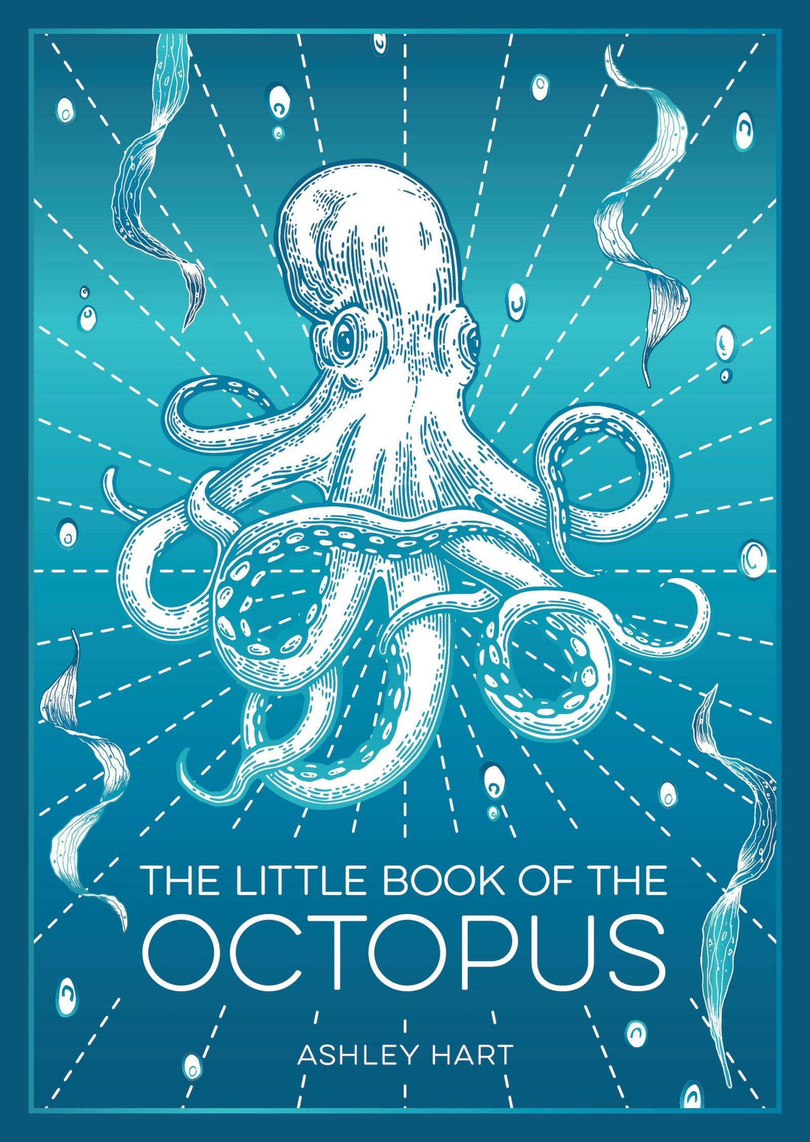 Vorderes Coverbild The Little Book of the Octopus