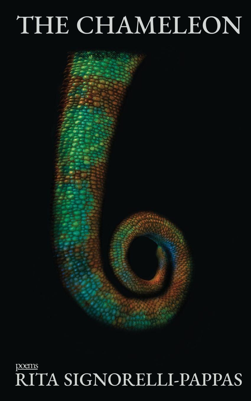 Vorderes Coverbild The Chameleon