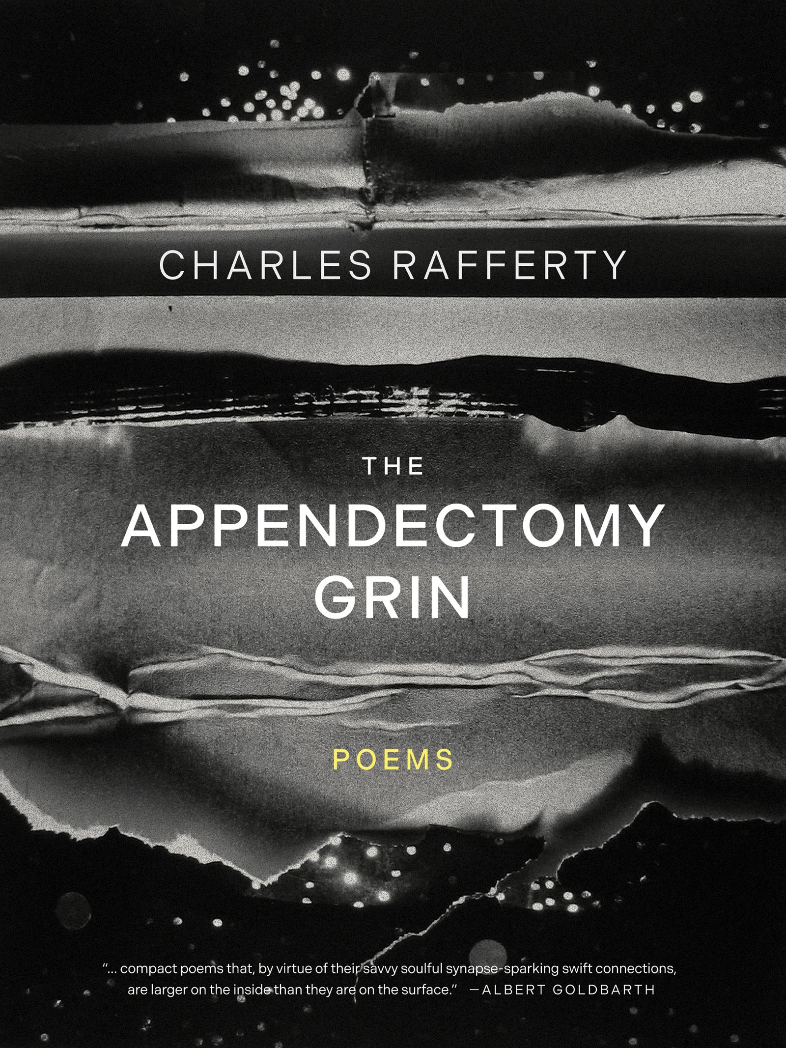 Vorderes Coverbild The Appendectomy Grin