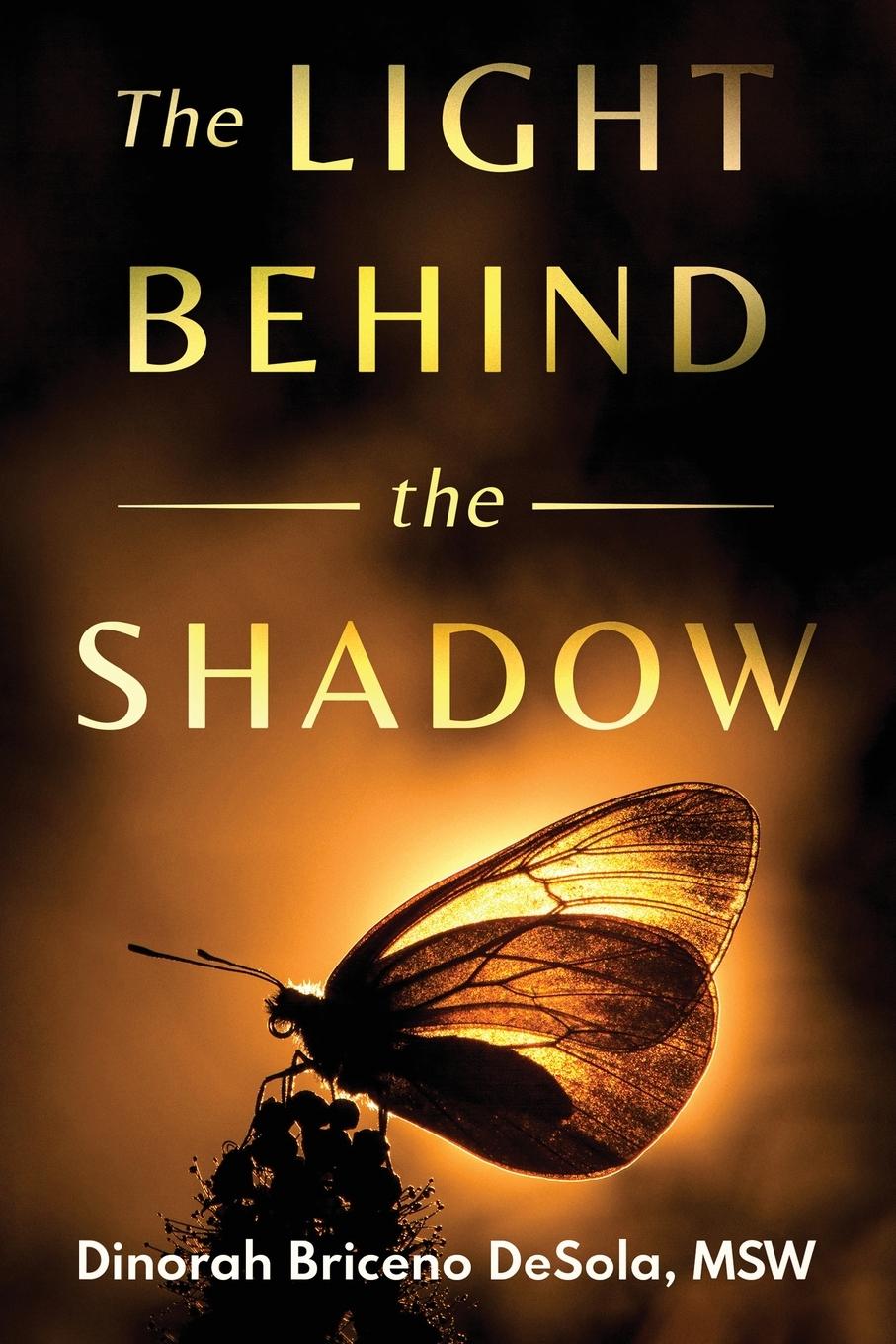 Vorderes Coverbild The Light Behind the Shadow