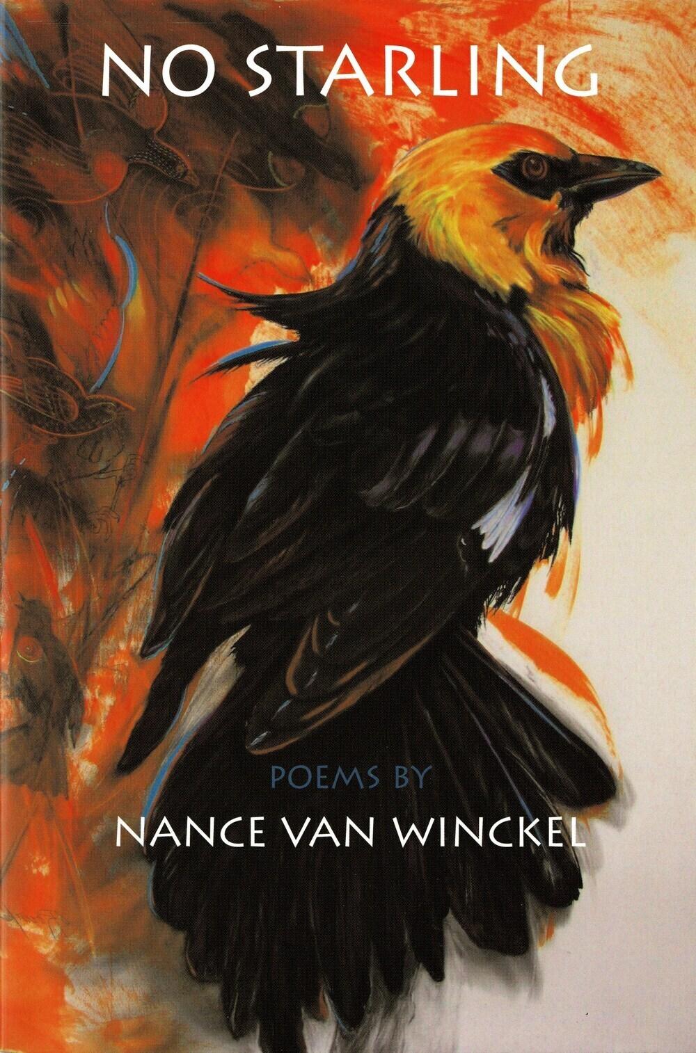 Vorderes Coverbild No Starling