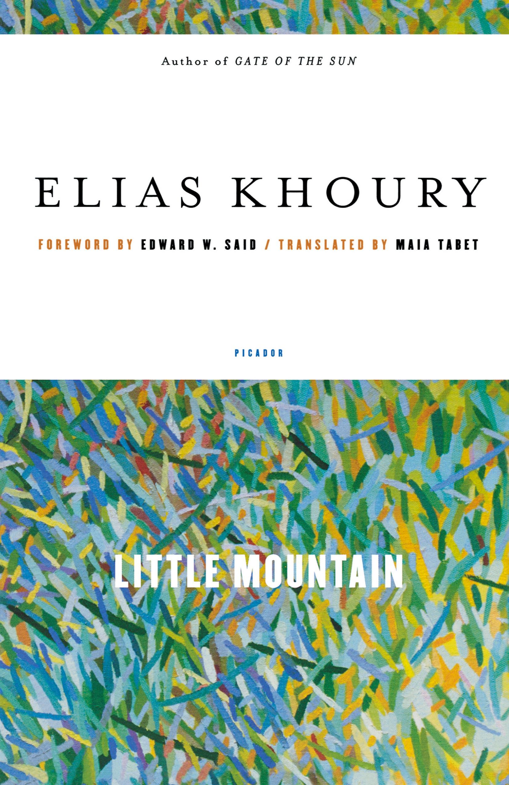 Vorderes Coverbild Little Mountain