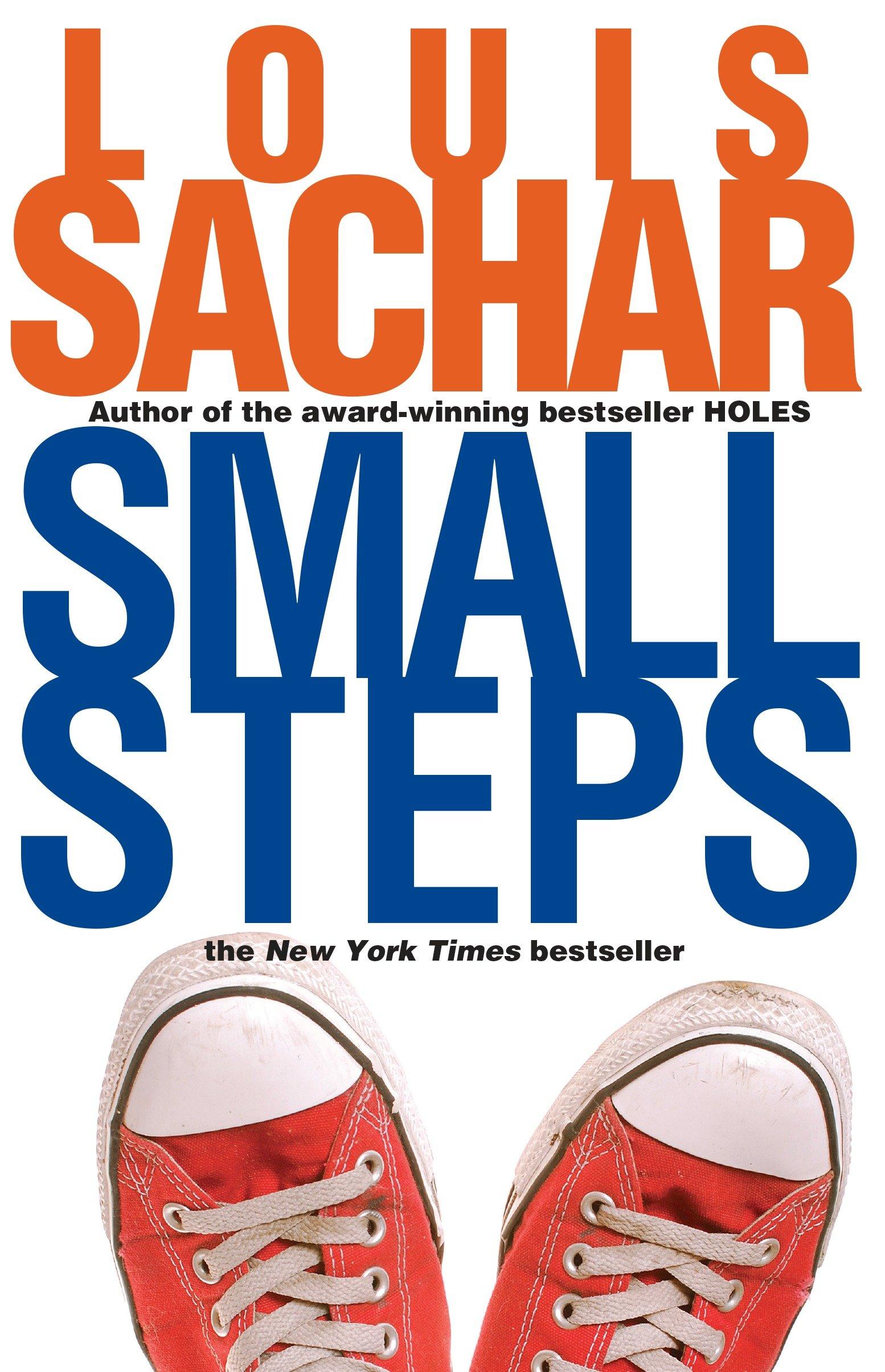 Vorderes Coverbild Small Steps