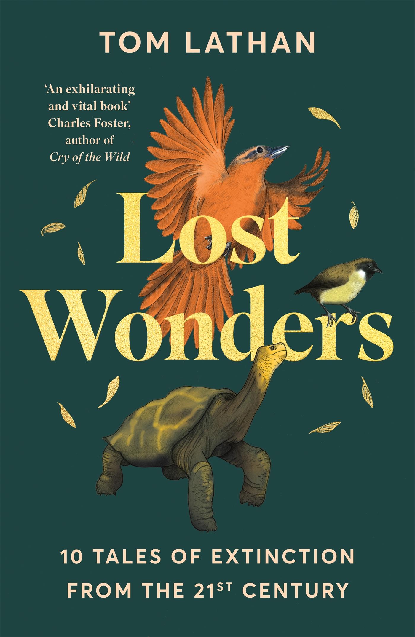 Vorderes Coverbild Lost Wonders