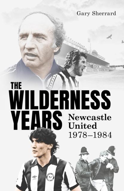 Vorderes Coverbild The Wilderness Years