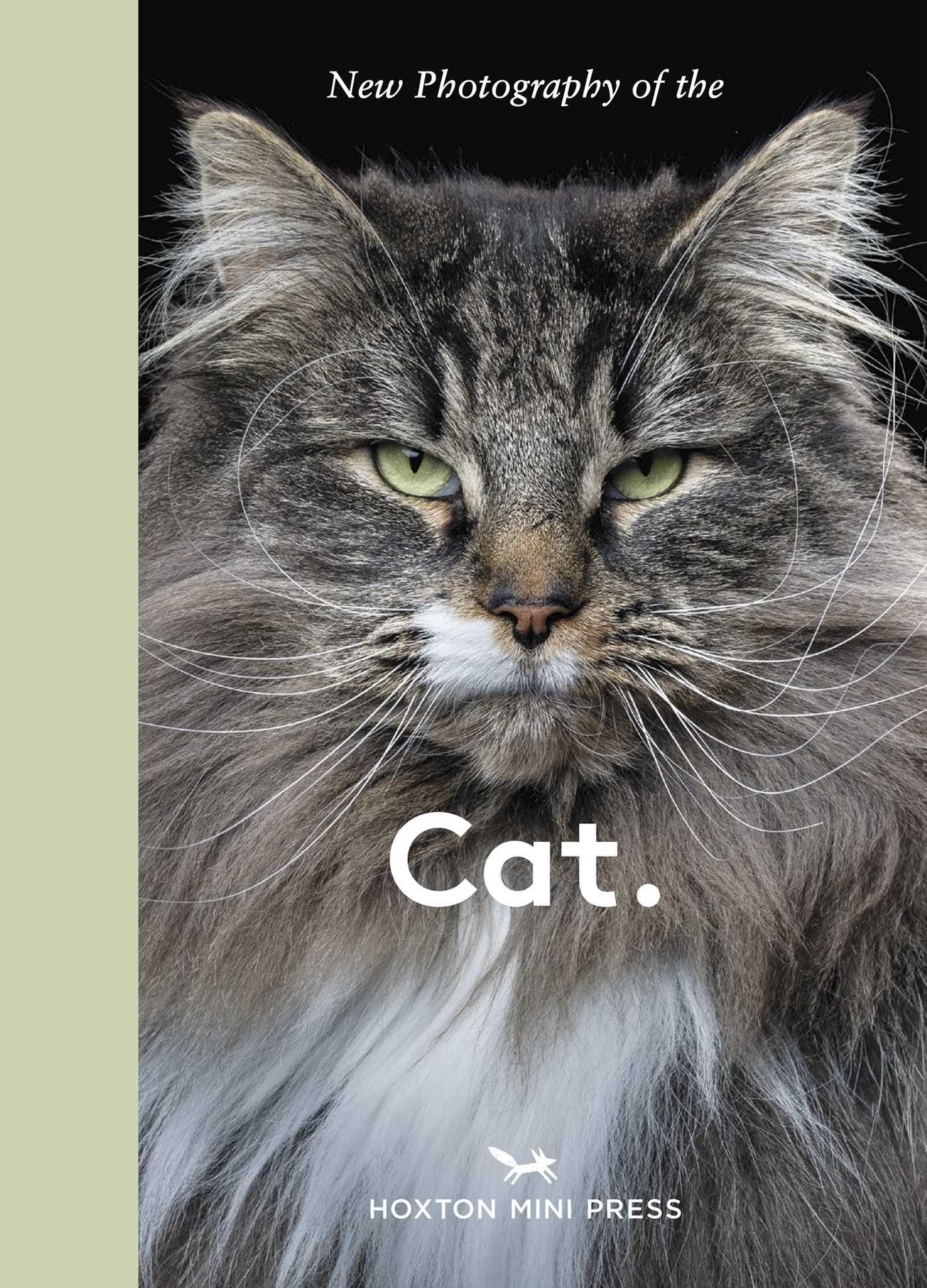 Vorderes Coverbild New Photography of the Cat.