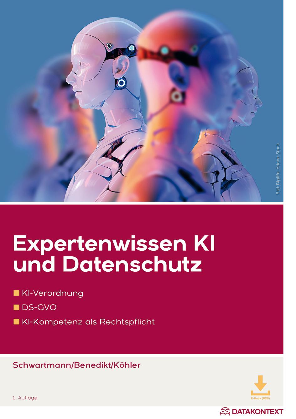 Vorderes Coverbild Expertenwissen KI und Datenschutz