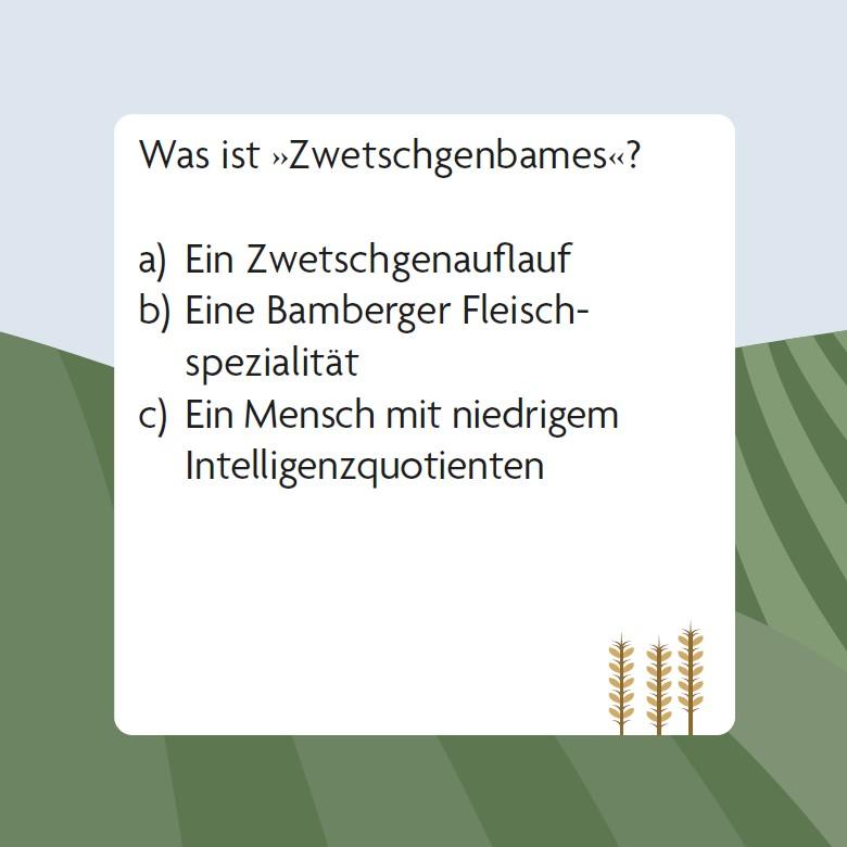 Beispielinhalt (Bild) Das Franken-Quiz (Neuausgabe)