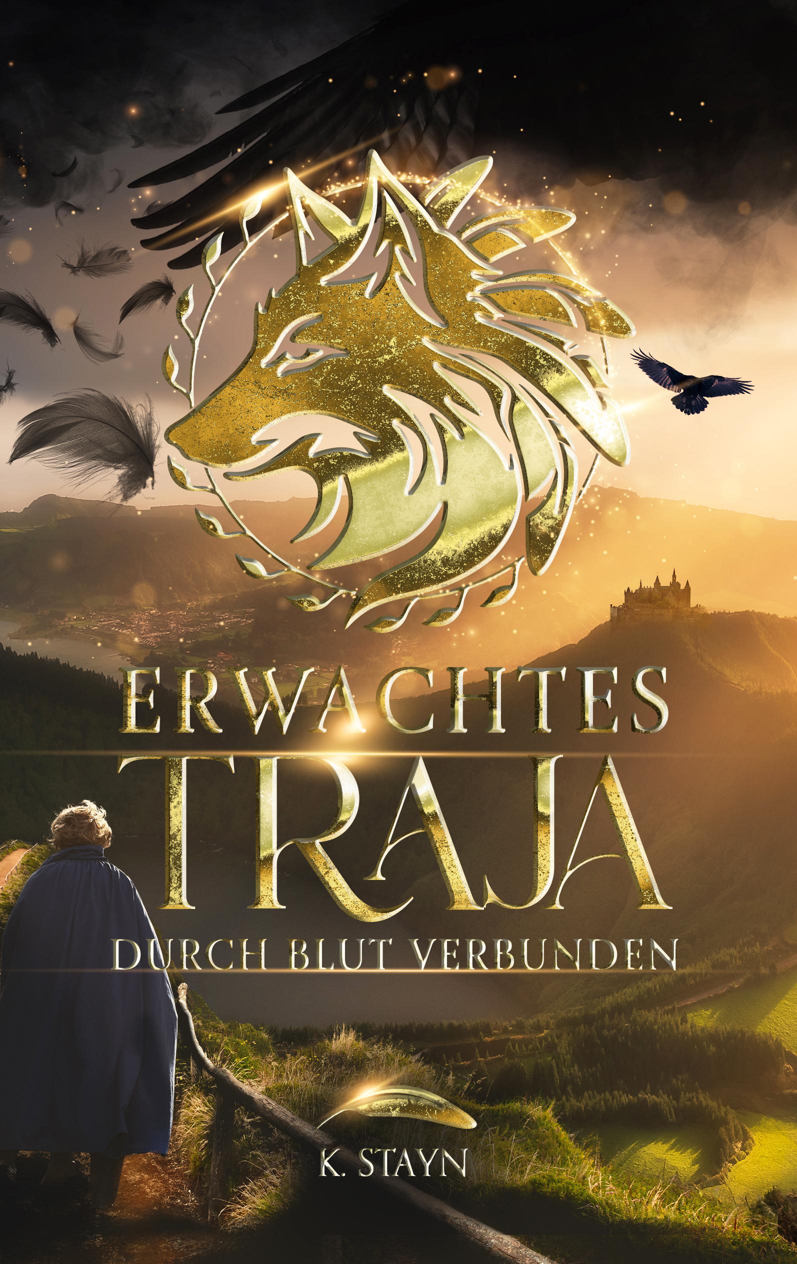 Vorderes Coverbild Erwachtes Traja