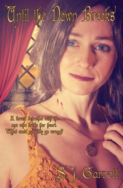 Vorderes Coverbild Until the Dawn Breaks