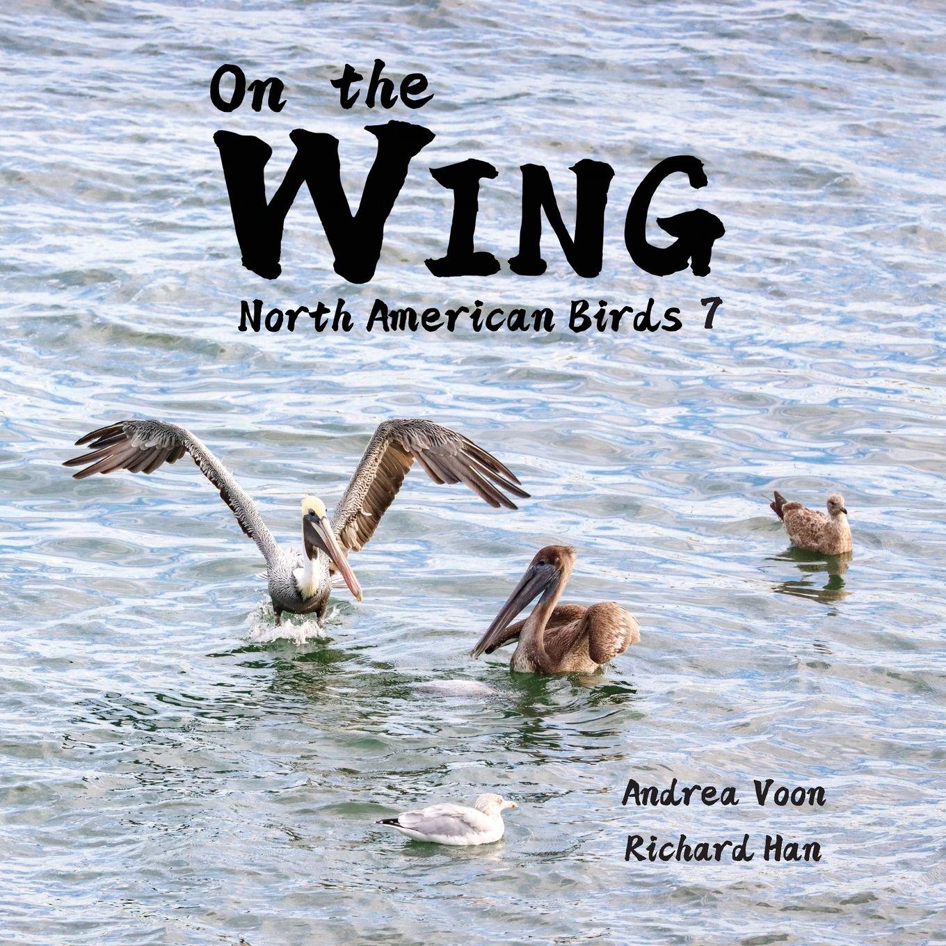 Vorderes Coverbild On the Wing - North American Birds 7
