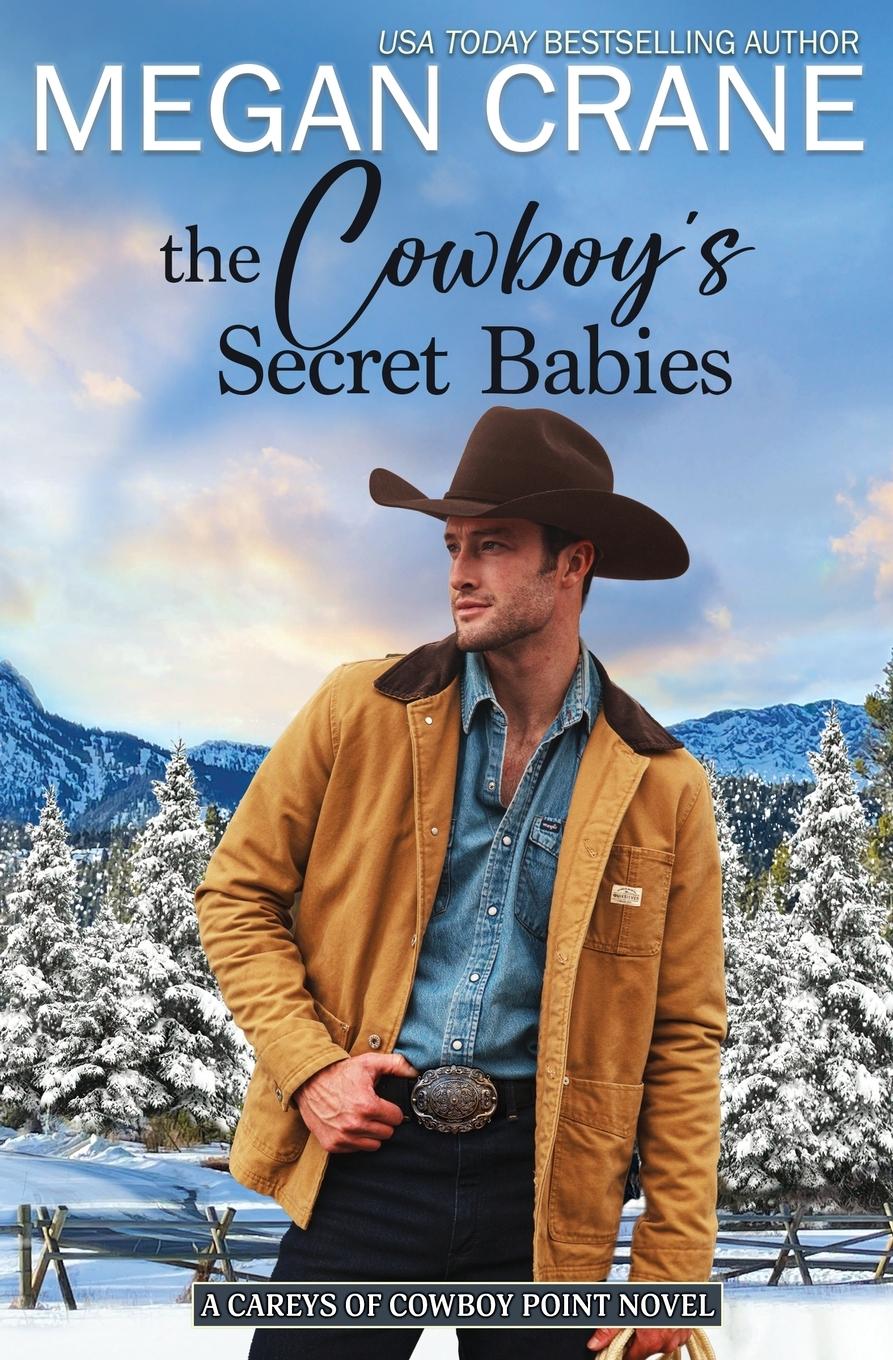 Vorderes Coverbild The Cowboy's Secret Babies