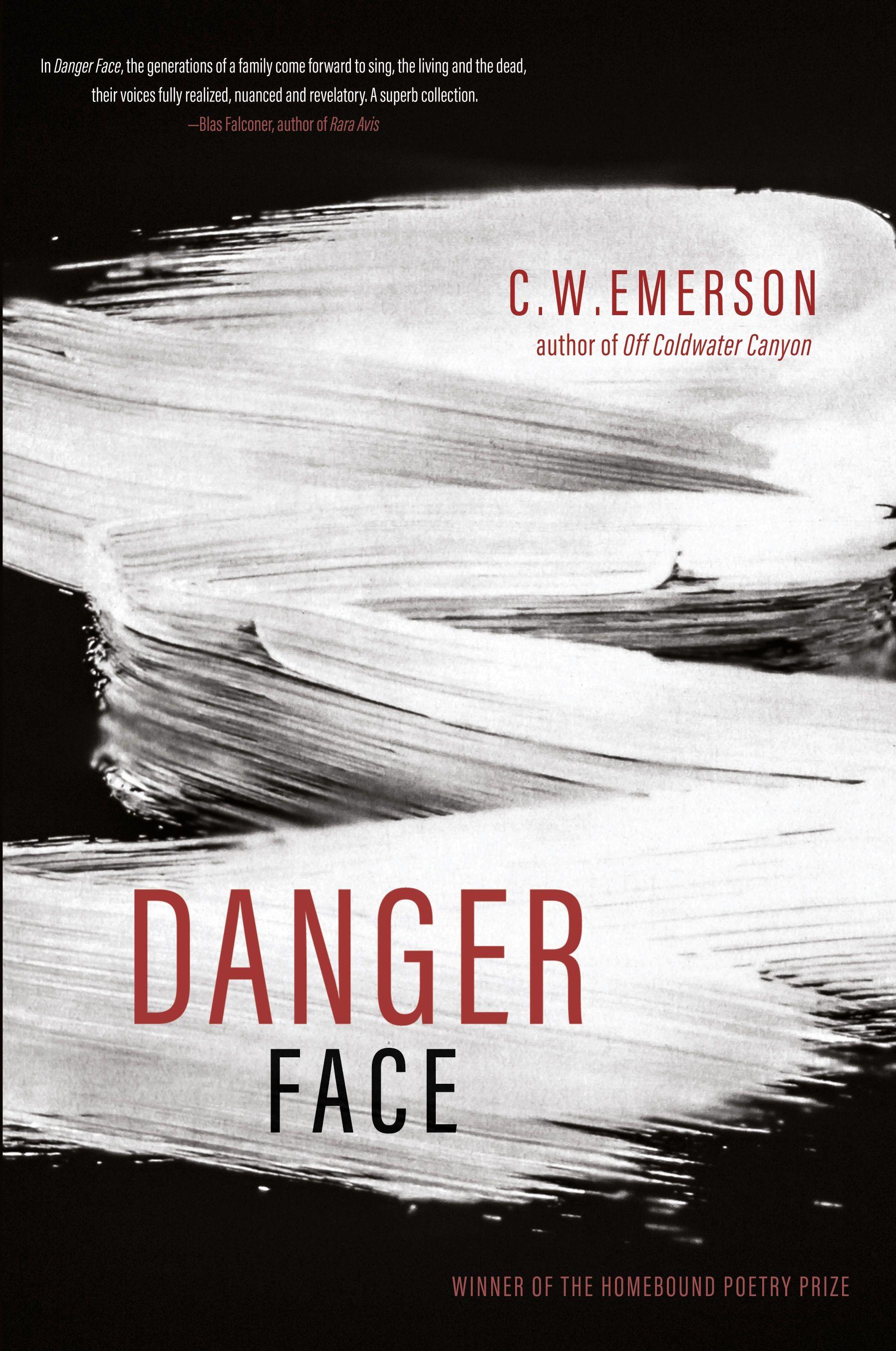 Vorderes Coverbild Danger Face