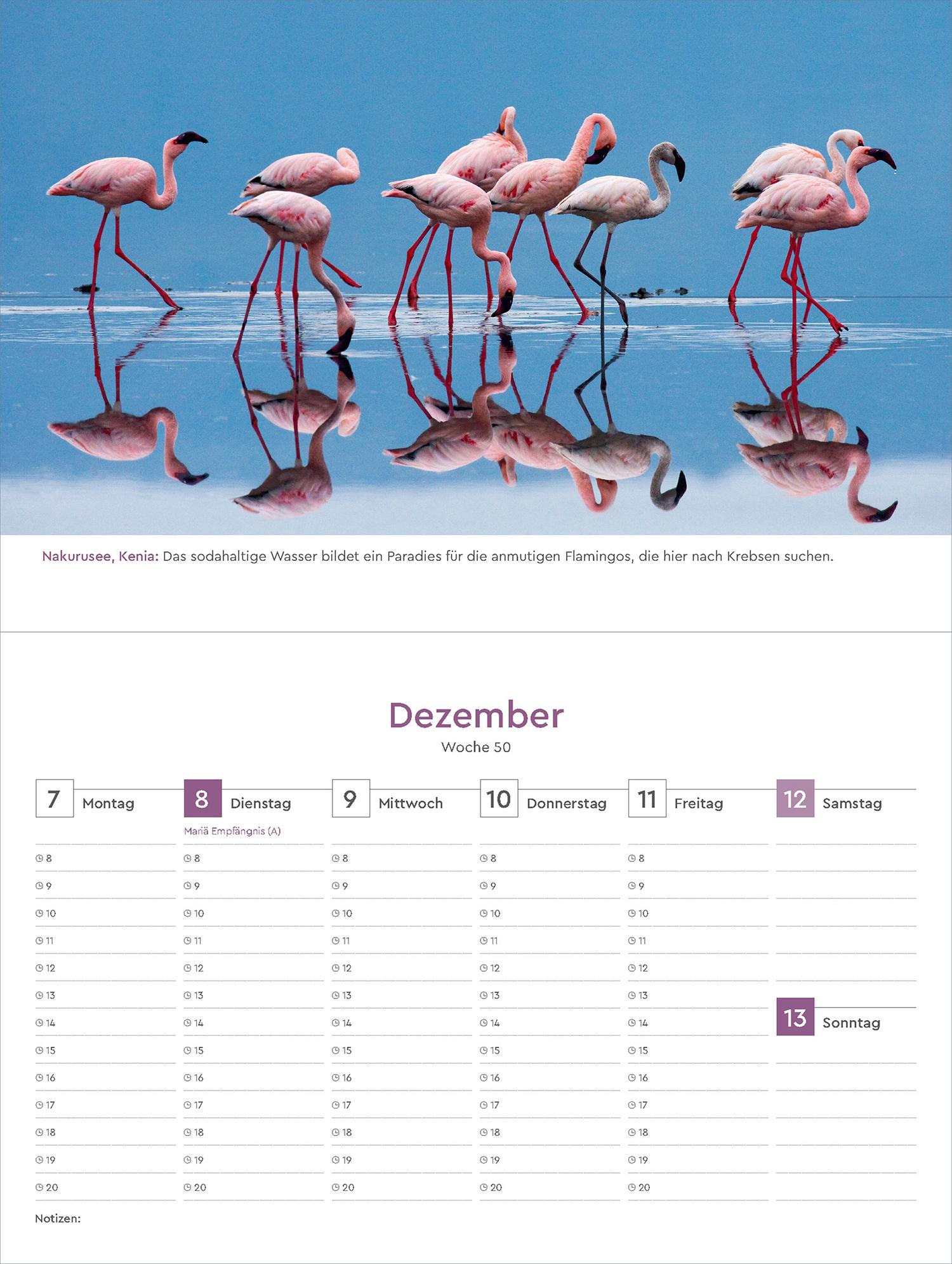 Beispielinhalt (Bild) Farben der Erde - KUNTH Tischkalender 2026