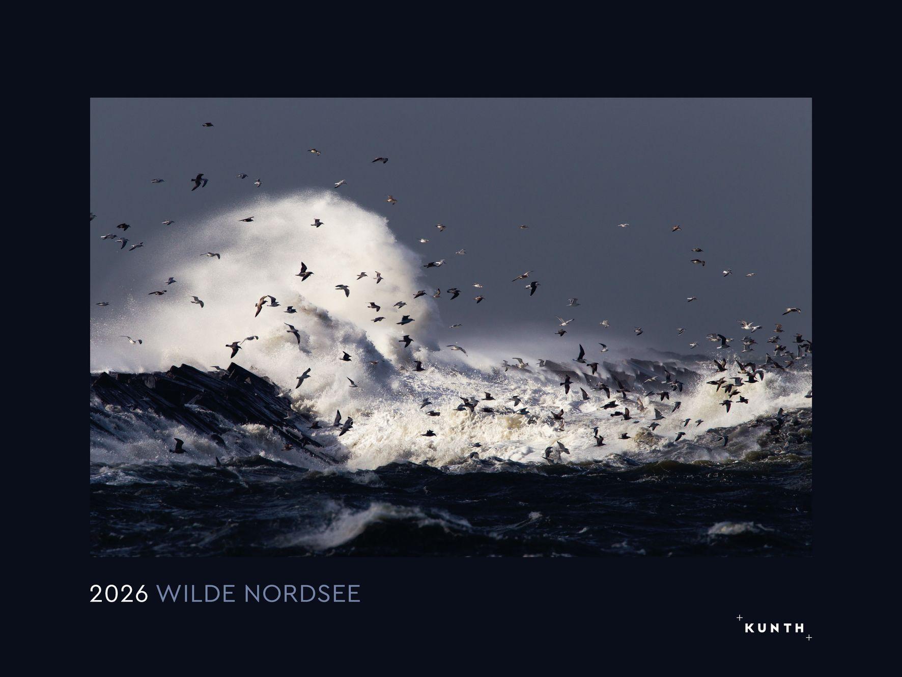 Vorderes Coverbild Wilde Nordsee - KUNTH Wandkalender 2026