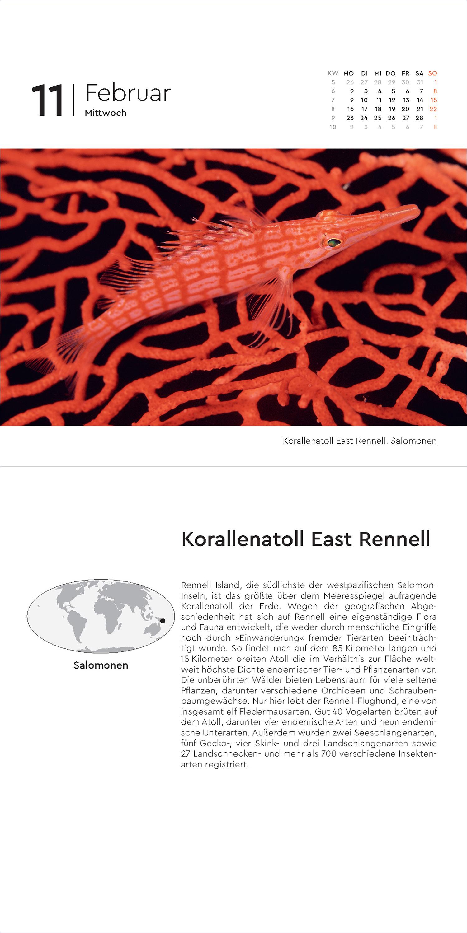 Beispielinhalt (Bild) Schätze der Natur - KUNTH 365-Tage-Abreißkalender 2026