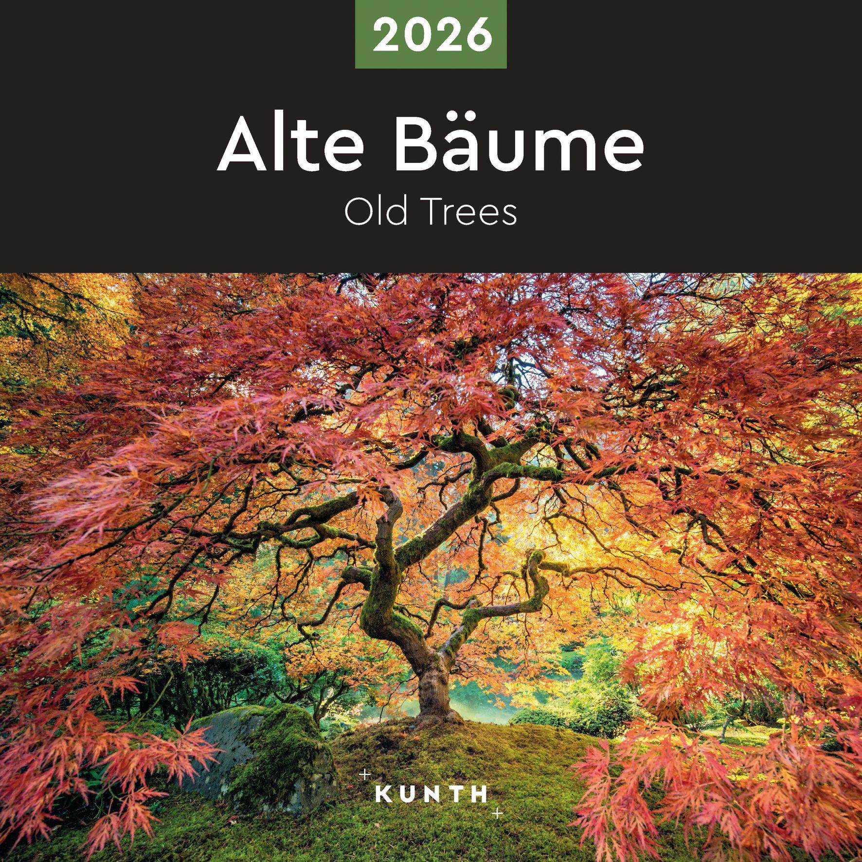 Vorderes Coverbild Alte Bäume - KUNTH Broschurkalender 2026