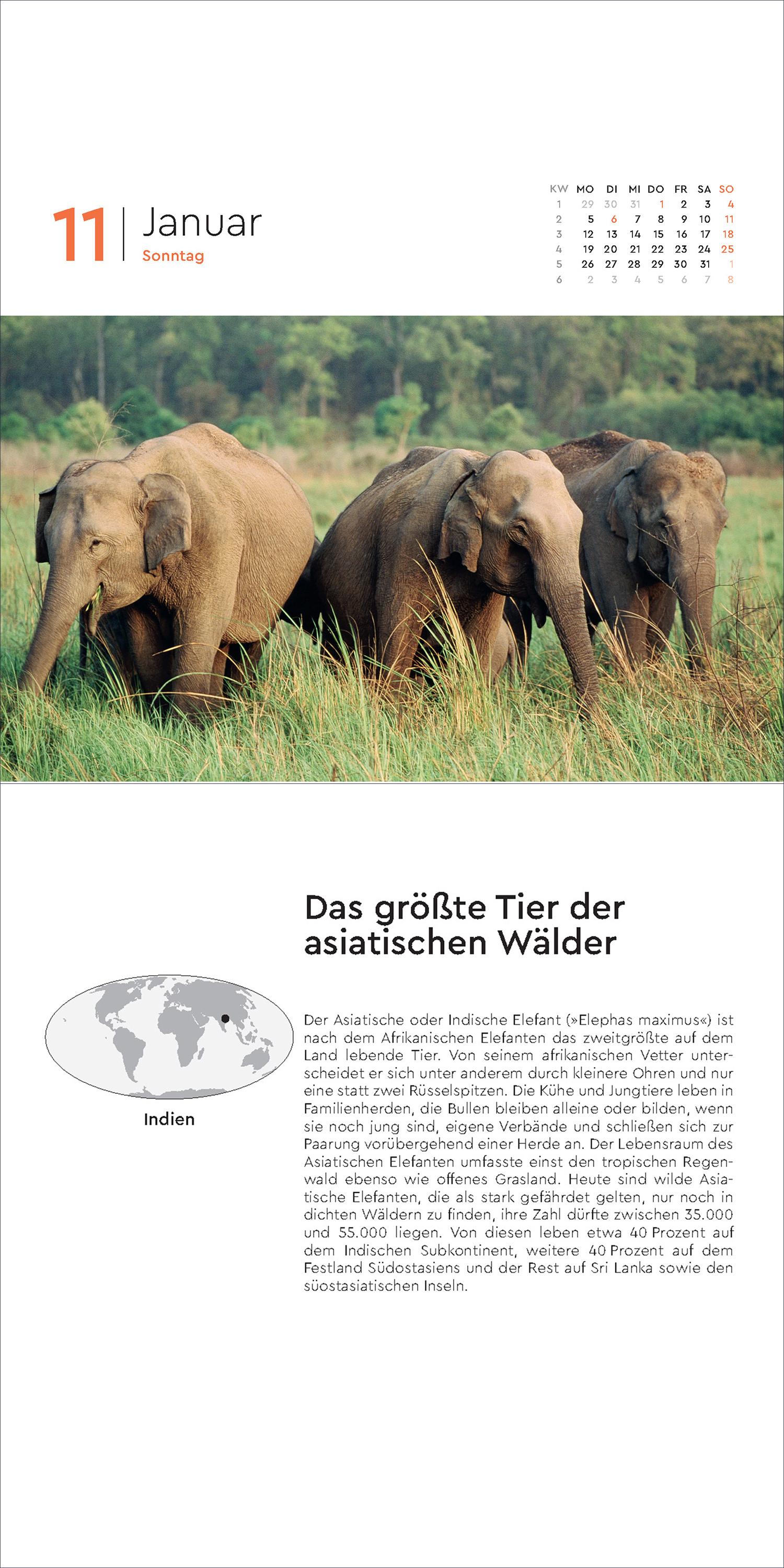 Beispielinhalt (Bild) Rekorde der Welt - KUNTH 365-Tage-Abreißkalender 2026