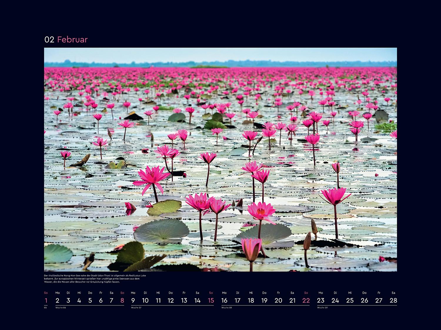 Beispielinhalt (Bild) Aufgeblüht - KUNTH Wandkalender 2026