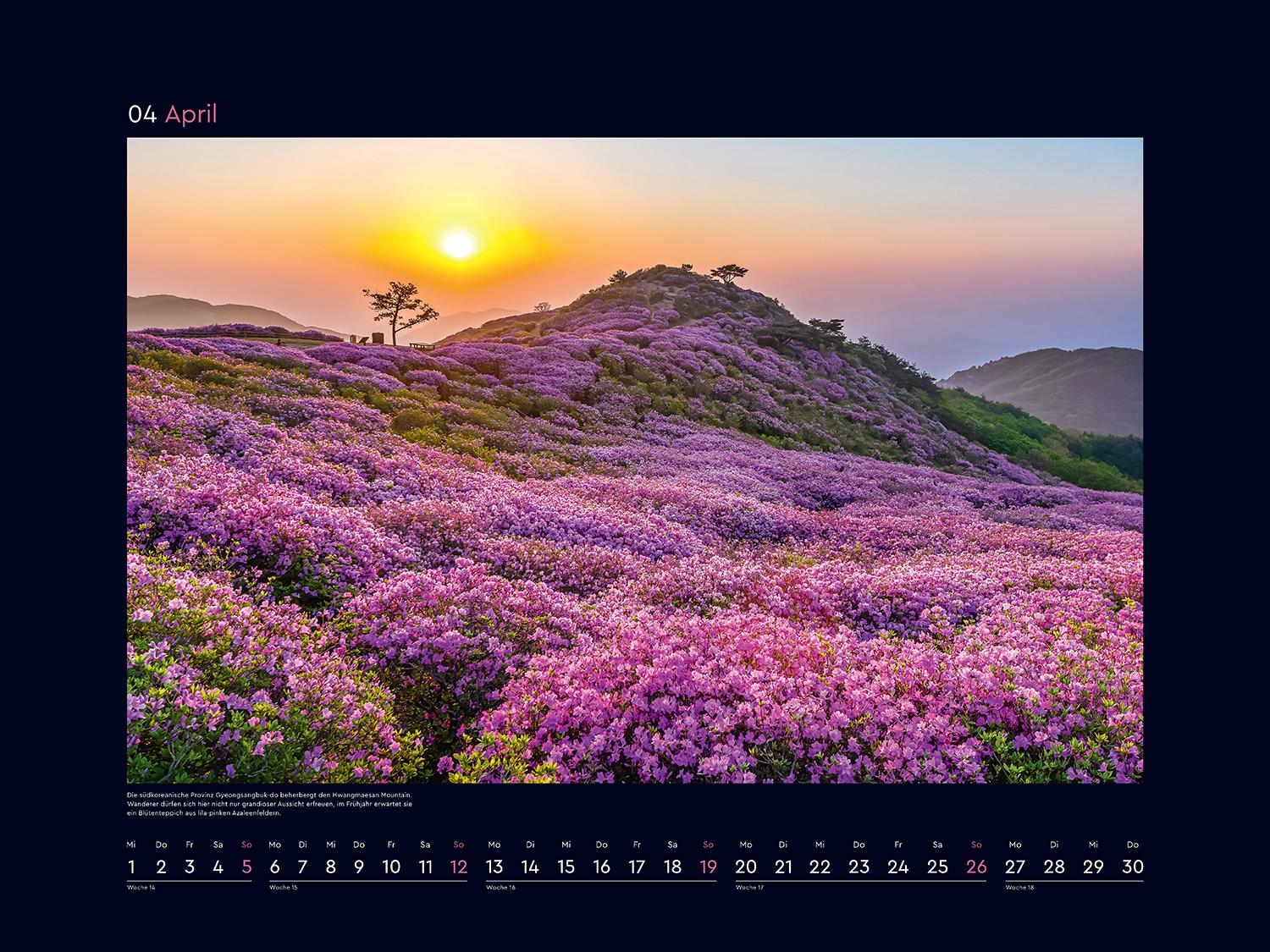 Beispielinhalt (Bild) Aufgeblüht - KUNTH Wandkalender 2026