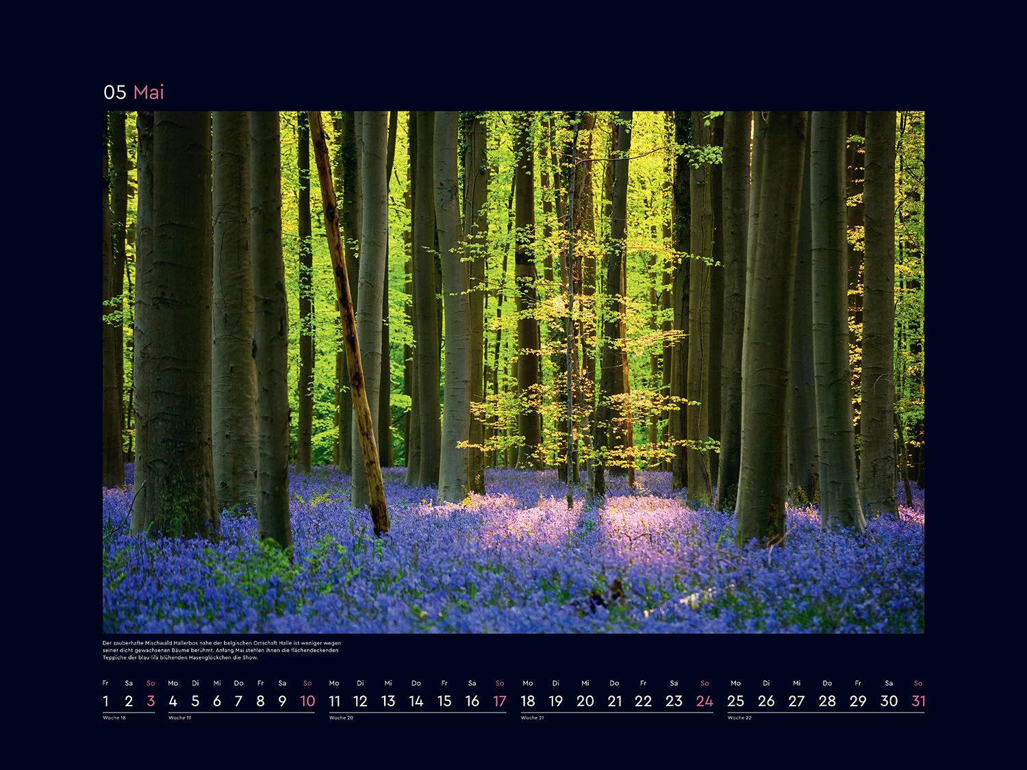 Beispielinhalt (Bild) Aufgeblüht - KUNTH Wandkalender 2026