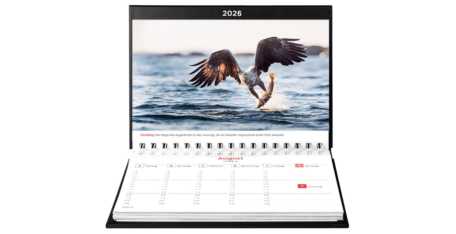 Beispielinhalt (Bild) Hurtigruten - KUNTH Tischkalender 2026