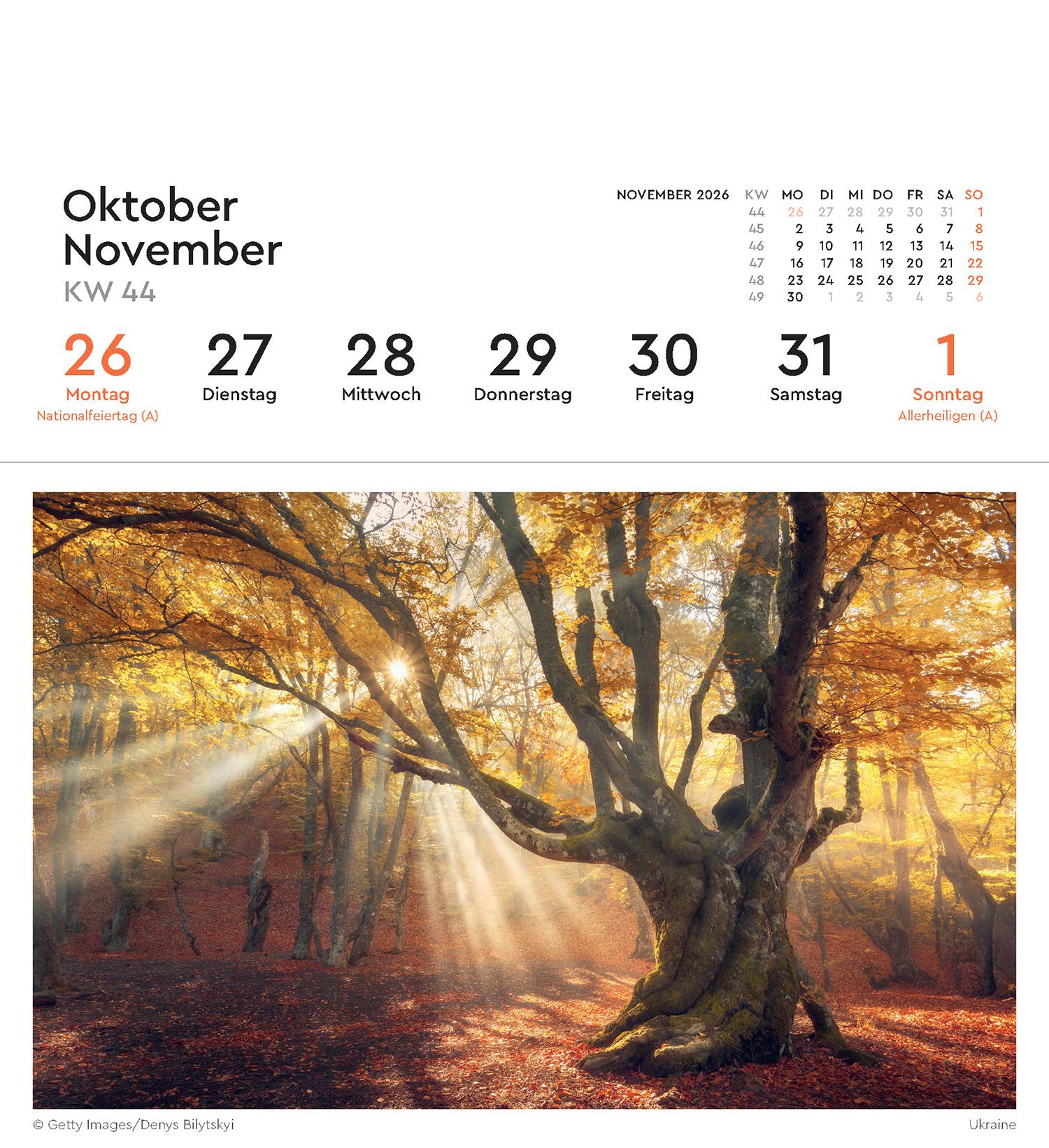 Beispielinhalt (Bild) Alte Bäume - KUNTH Postkartenkalender 2026