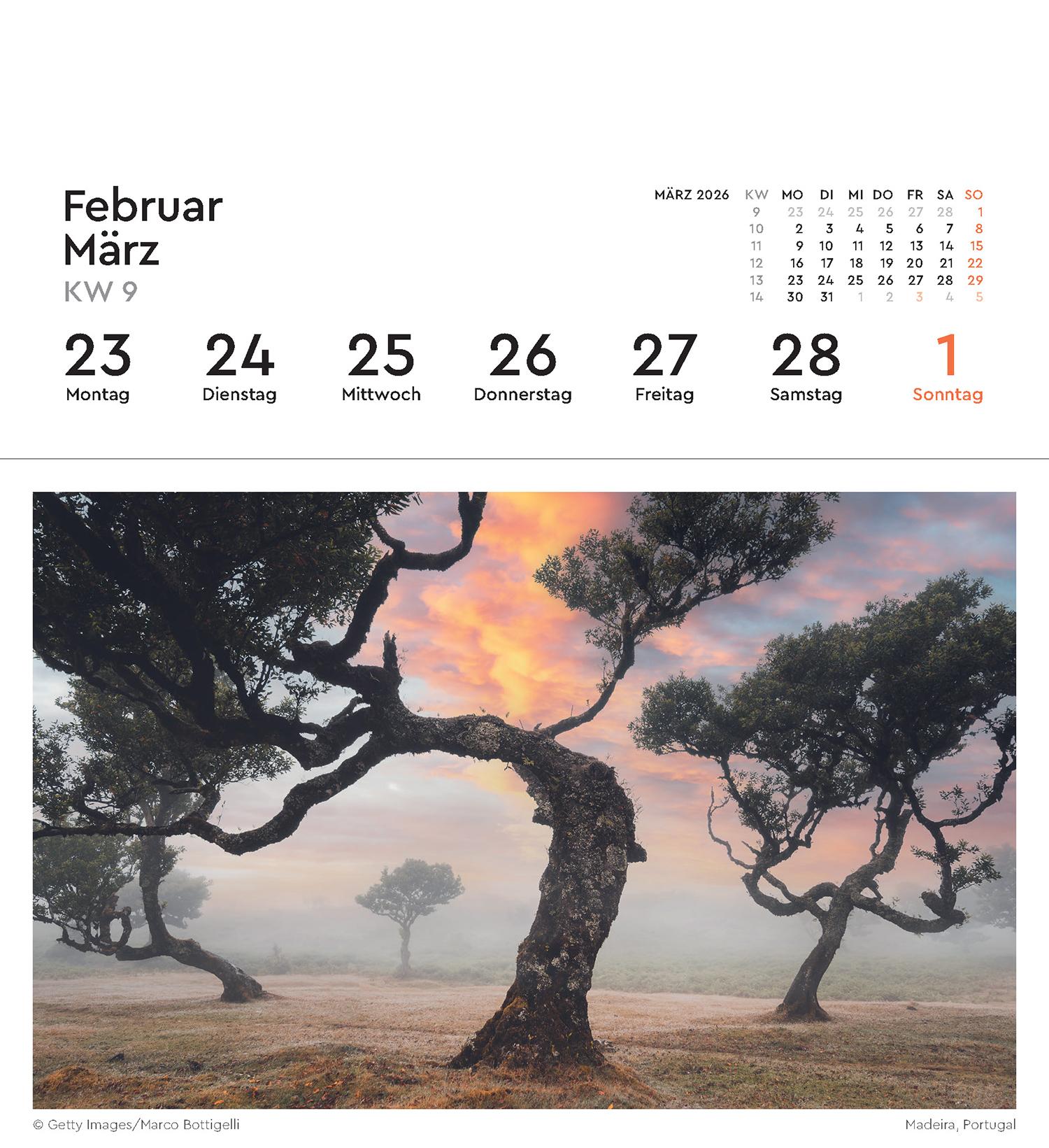 Beispielinhalt (Bild) Alte Bäume - KUNTH Postkartenkalender 2026