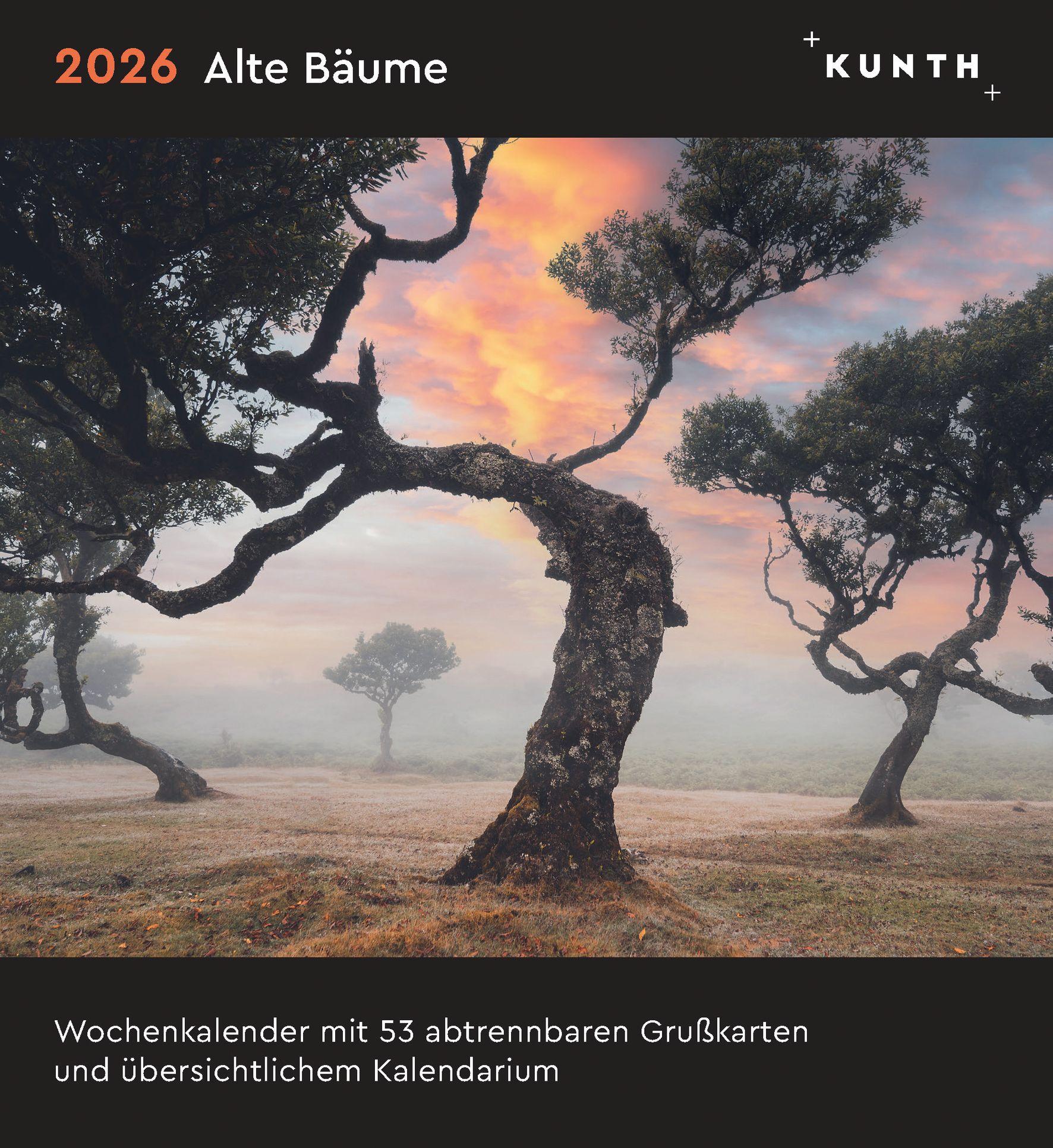 Vorderes Coverbild Alte Bäume - KUNTH Postkartenkalender 2026