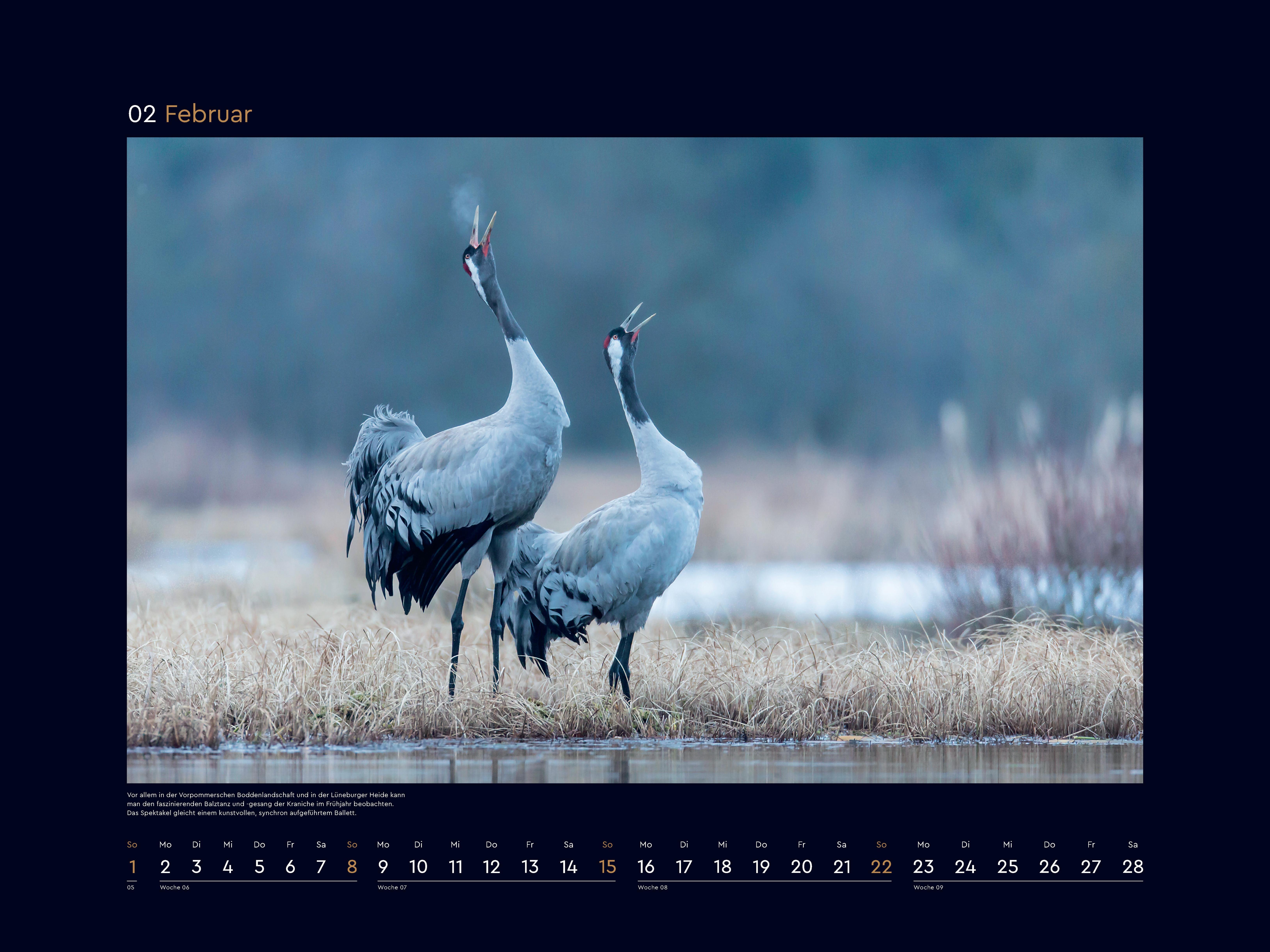 Beispielinhalt (Bild) Wildnis Deutschland - KUNTH Wandkalender 2026