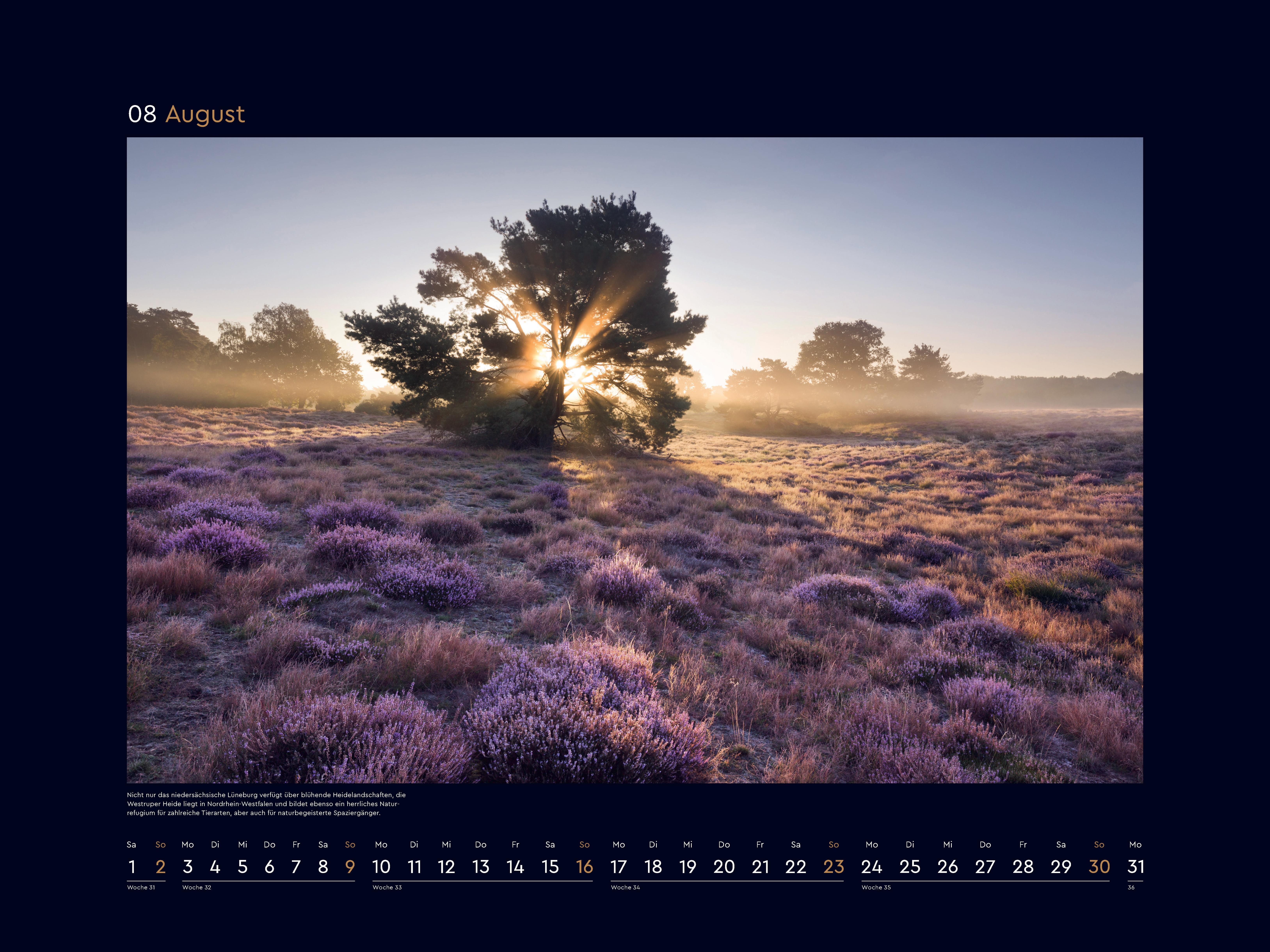 Beispielinhalt (Bild) Wildnis Deutschland - KUNTH Wandkalender 2026