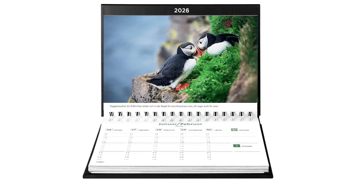 Beispielinhalt (Bild) Island - KUNTH Tischkalender 2026