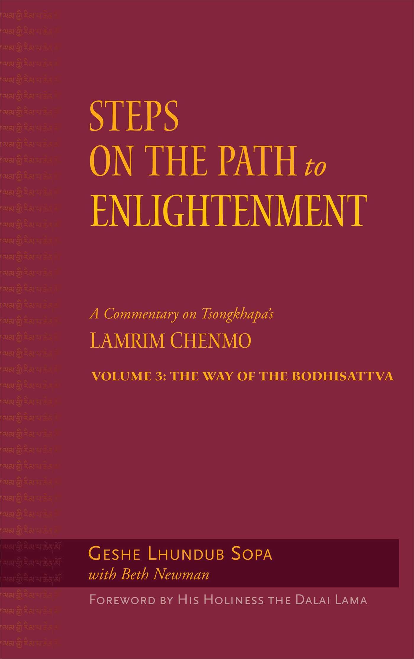 Vorderes Coverbild Steps on the Path to Enlightenment