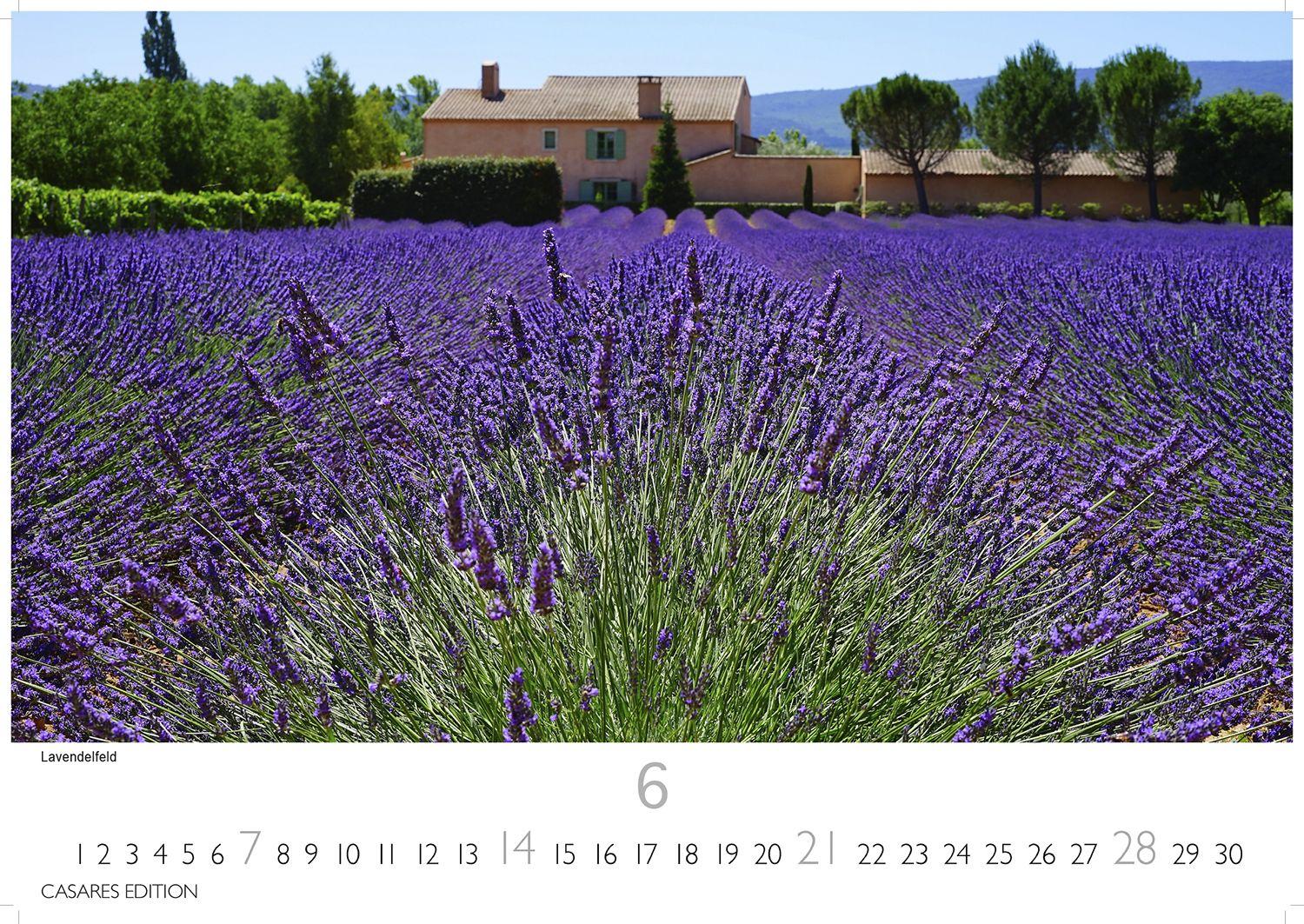 Beispielinhalt (Bild) Provence Kalender 2026 - Wandkalender | Fotokalender Frankreich 24x35cm - Atemberaubende Landschaften, Blühende Lavendelfelder & Charmante Dörfer - Perfekter . für Natur- und Reiseliebhaber